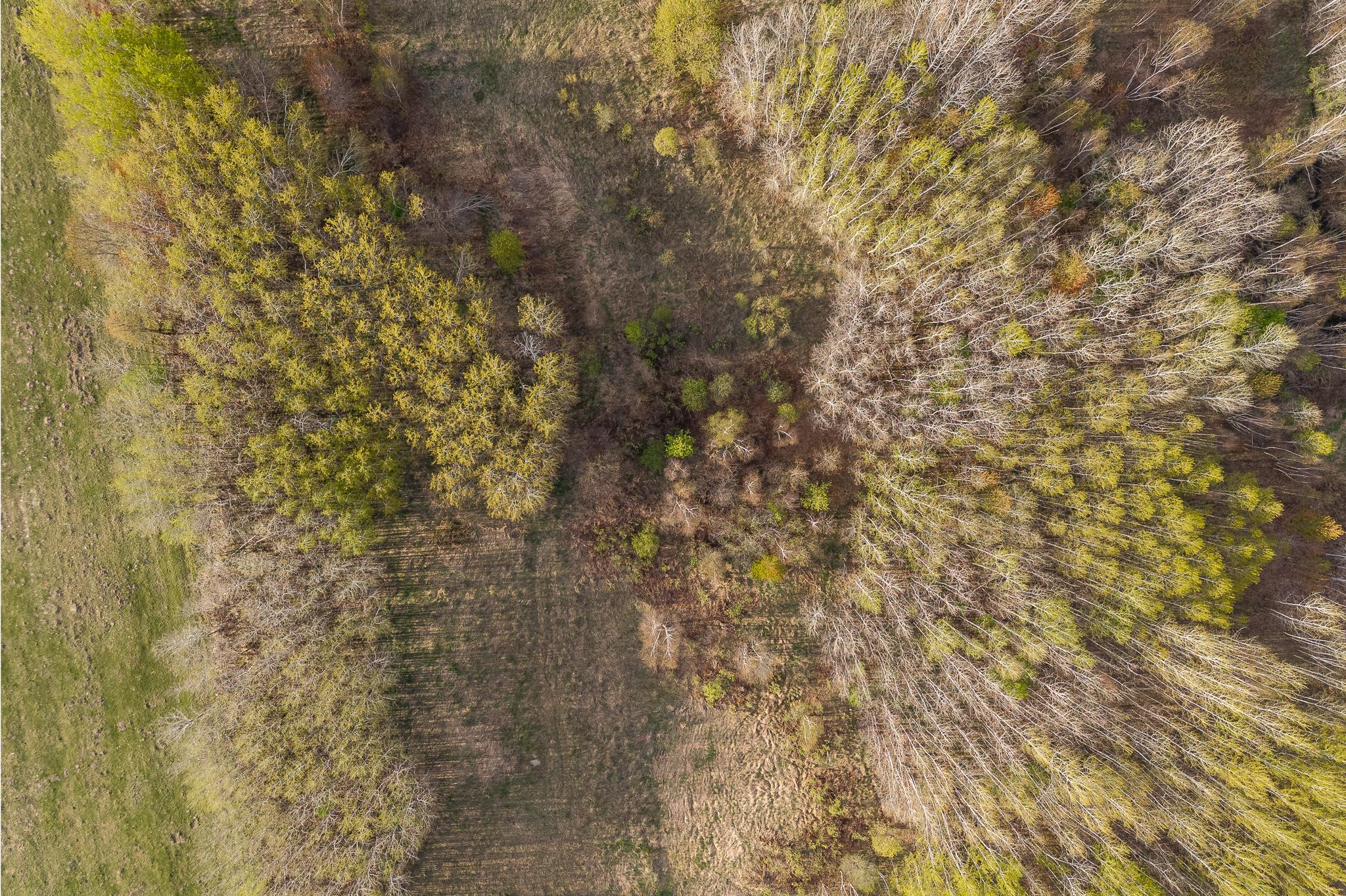 View of Land at TBD-38AC 465th Street, Sunrise Twp MN 55032, Sunrise Twp (36 of 54) - Mike Wilen | Minnesota Team Real Estate