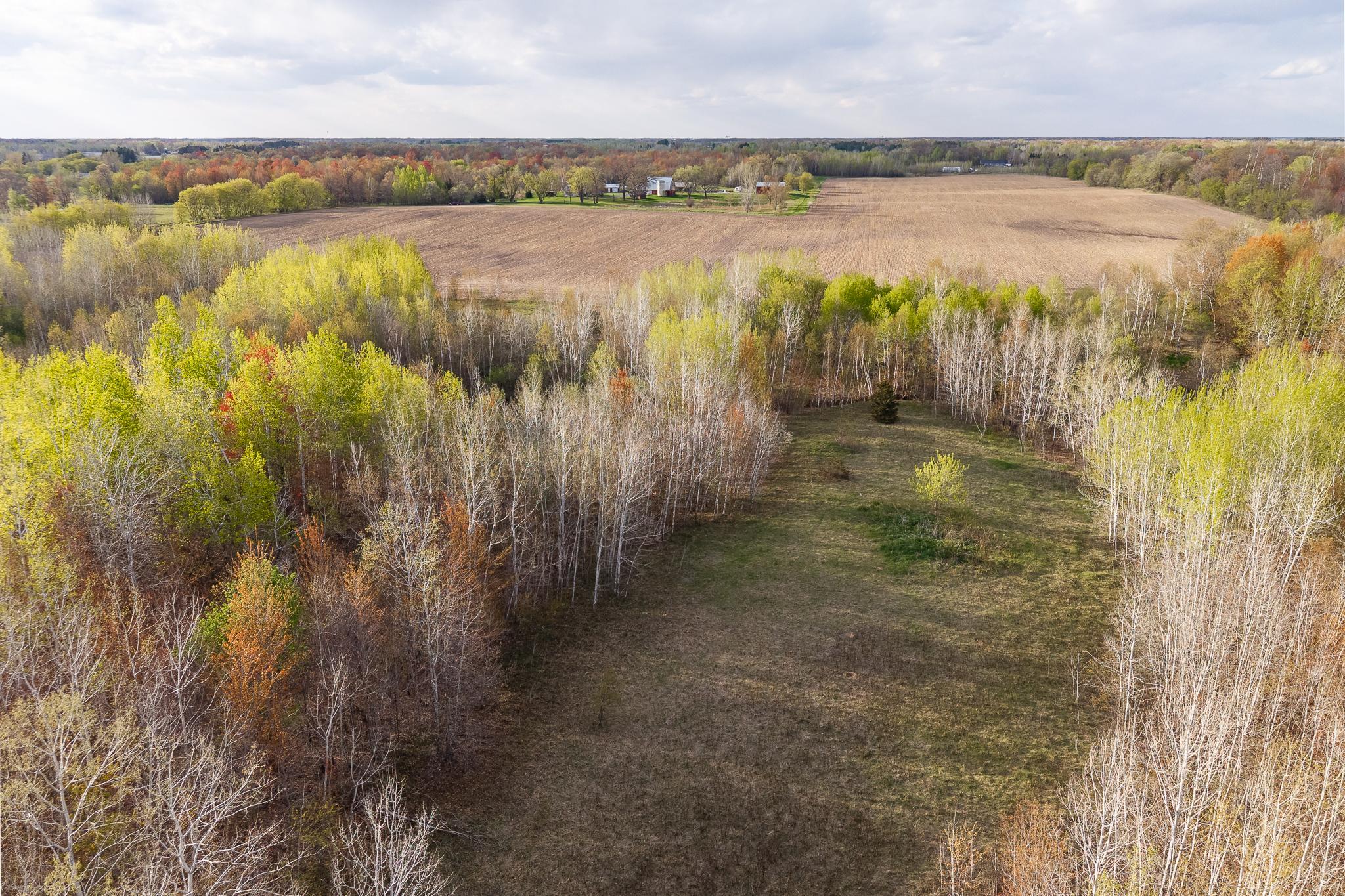 View of Land at TBD-38AC 465th Street, Sunrise Twp MN 55032, Sunrise Twp (4 of 54) - Mike Wilen | Minnesota Team Real Estate