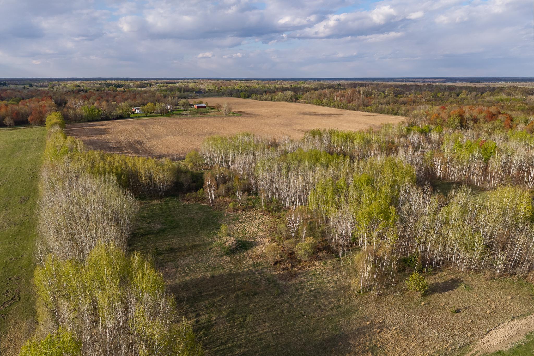 View of Land at TBD-38AC 465th Street, Sunrise Twp MN 55032, Sunrise Twp (32 of 54) - Mike Wilen | Minnesota Team Real Estate