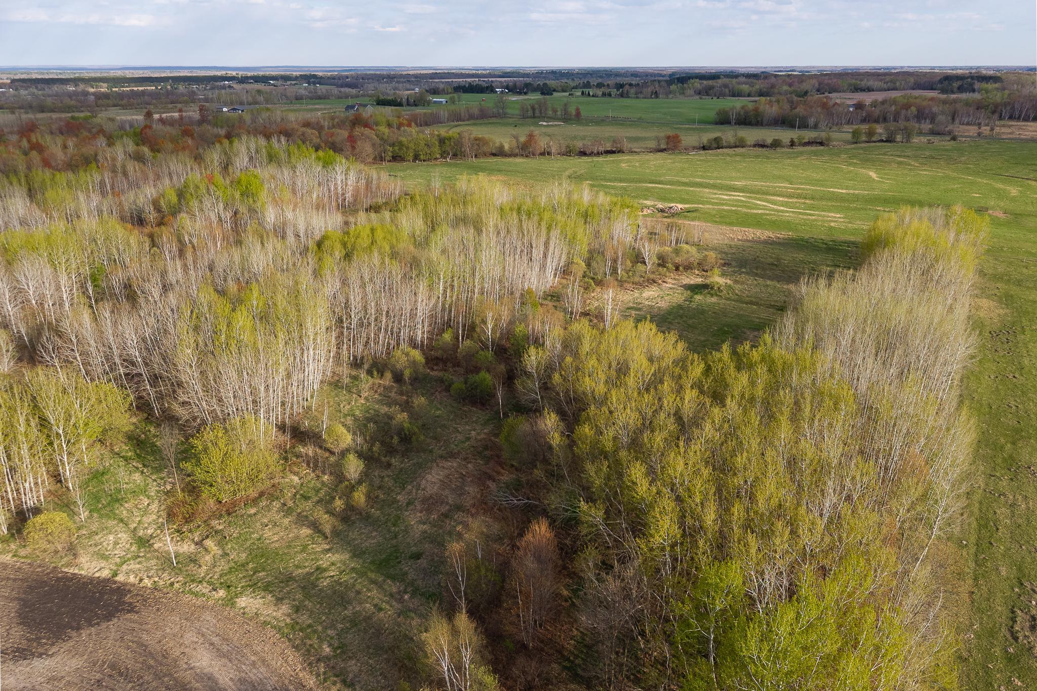 View of Land at TBD-38AC 465th Street, Sunrise Twp MN 55032, Sunrise Twp (30 of 54) - Mike Wilen | Minnesota Team Real Estate