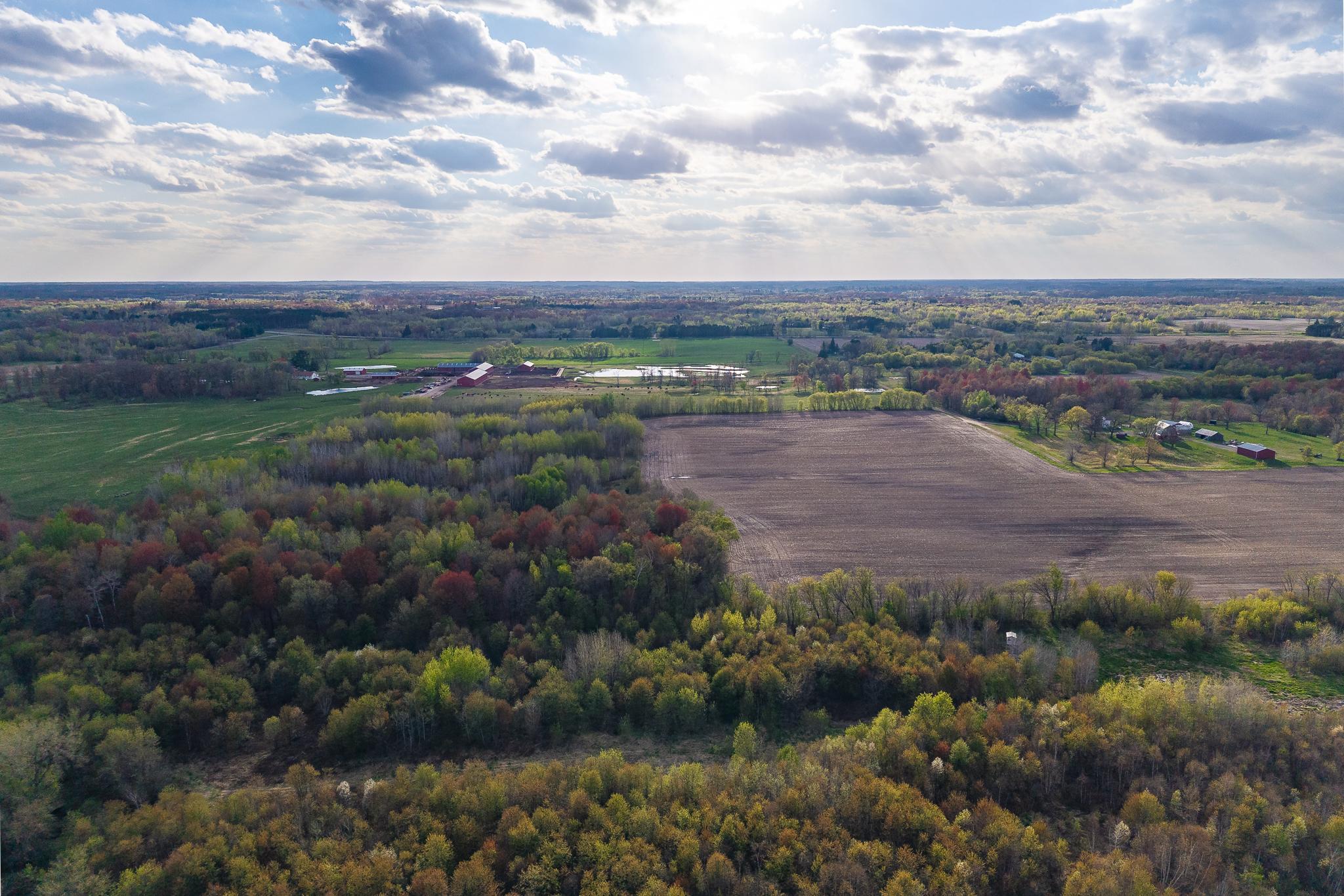 View of Land at TBD-38AC 465th Street, Sunrise Twp MN 55032, Sunrise Twp (22 of 54) - Mike Wilen | Minnesota Team Real Estate