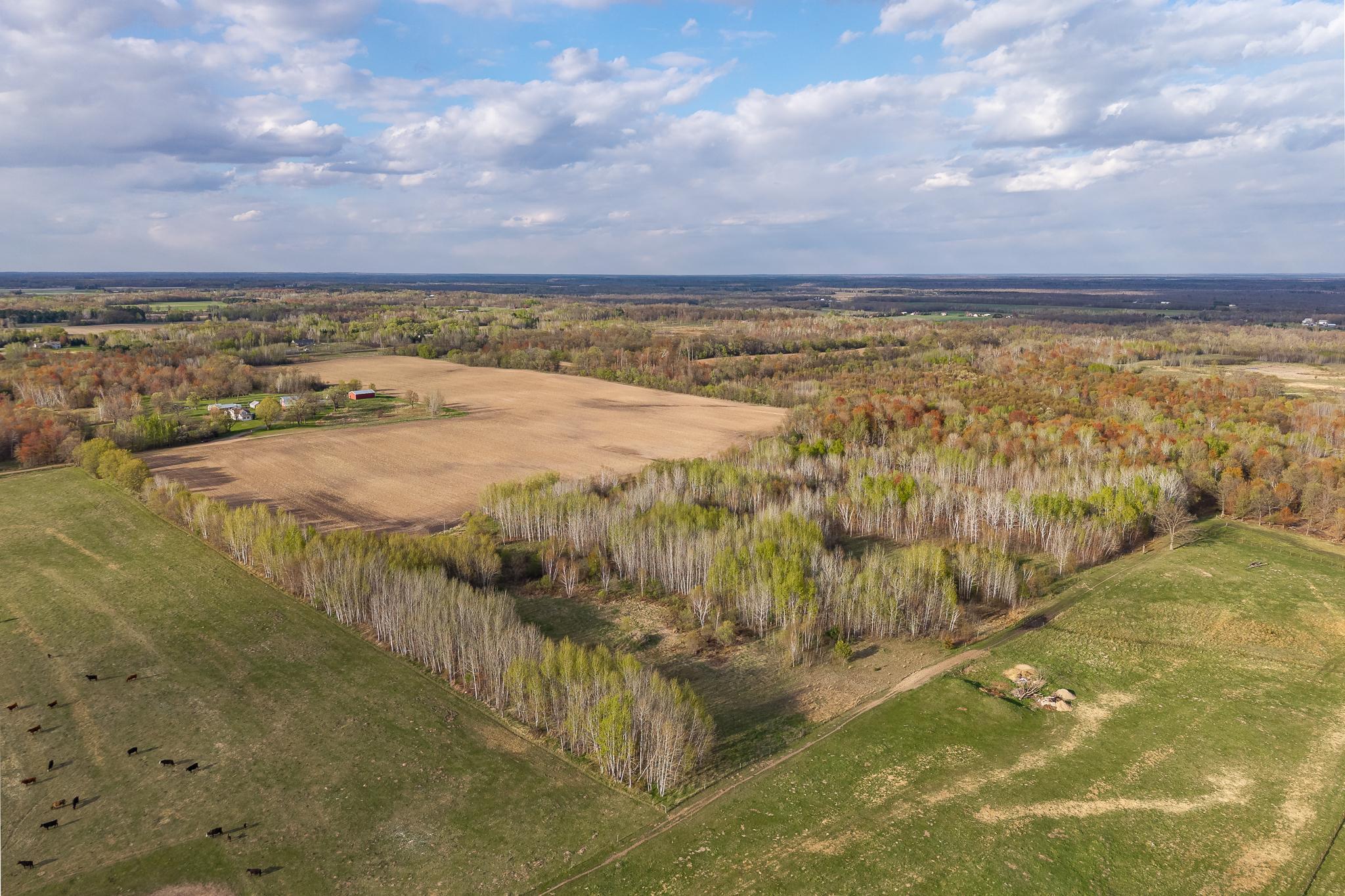View of Land at TBD-38AC 465th Street, Sunrise Twp MN 55032, Sunrise Twp (18 of 54) - Mike Wilen | Minnesota Team Real Estate