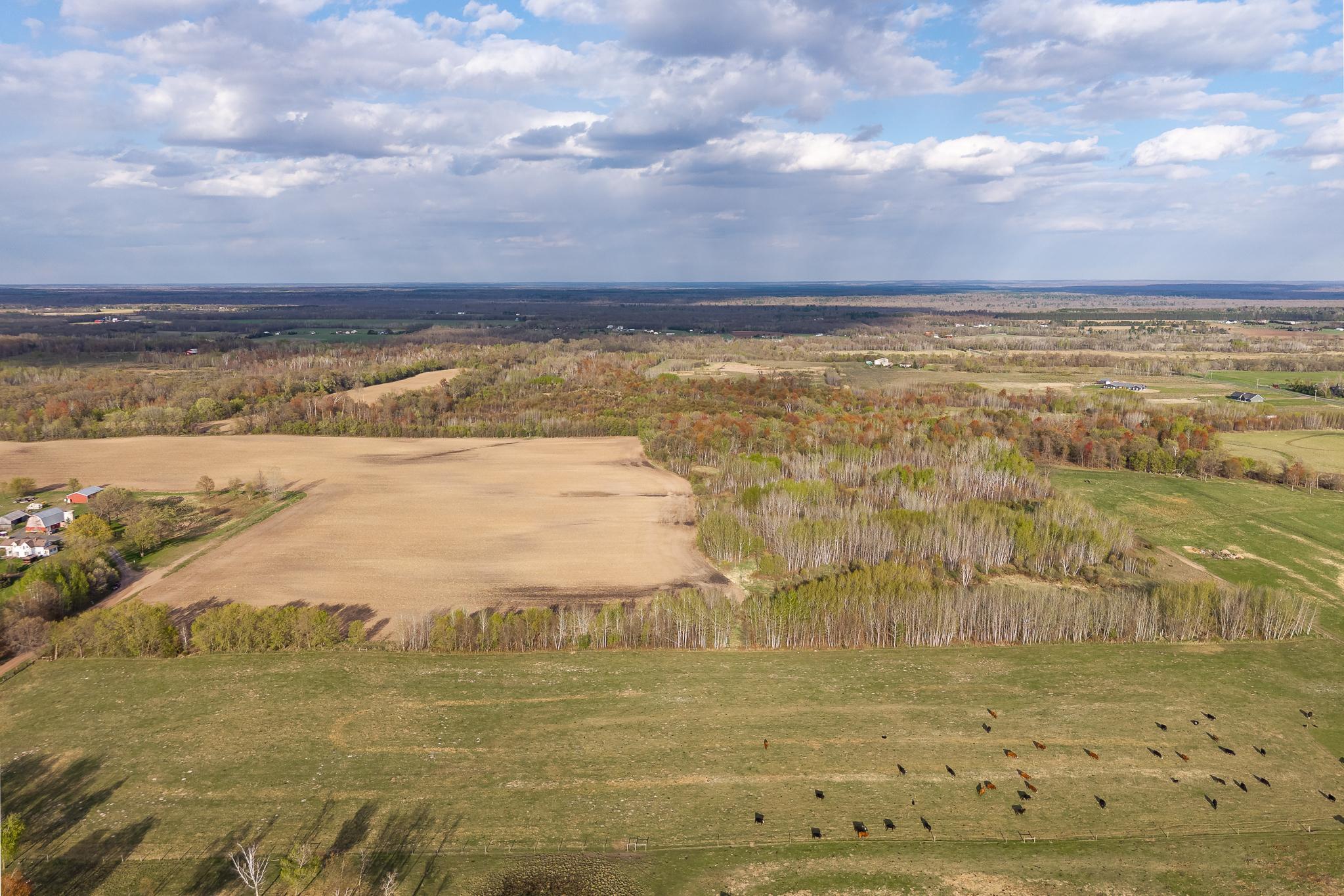 View of Land at TBD-38AC 465th Street, Sunrise Twp MN 55032, Sunrise Twp (16 of 54) - Mike Wilen | Minnesota Team Real Estate