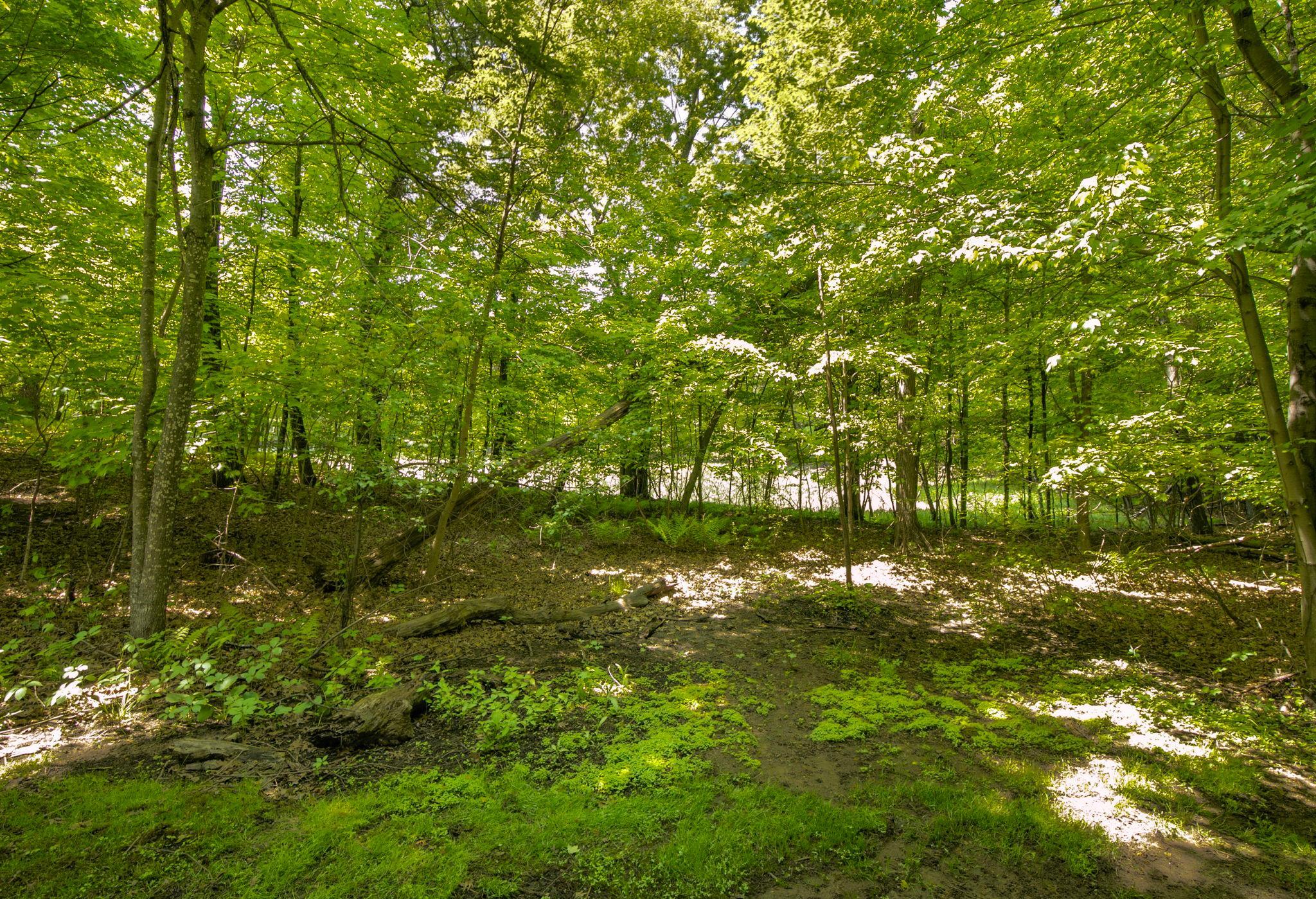 View of Residential at 38151 Wilderness Court, Sartell MN 56377, Sartell (48 of 49) - Mike Wilen | Minnesota Team Real Estate