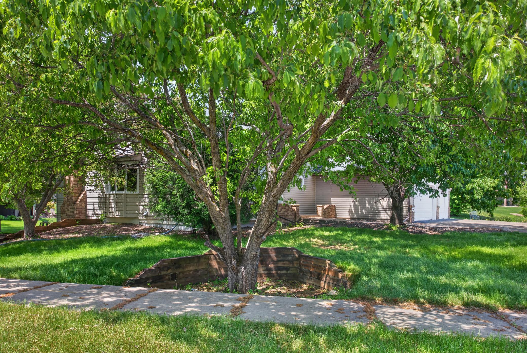 View of Residential at 17588 66th Avenue, Maple Grove MN 55311, Maple Grove (43 of 49) - Mike Wilen | Minnesota Team Real Estate