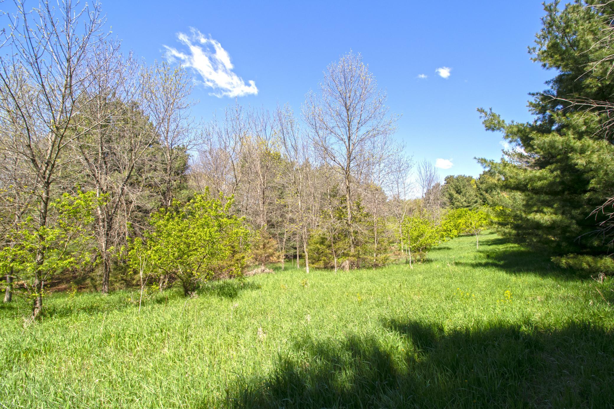 View of Land at TBD Nueman Trail, Lindstrom MN 55045, Lindstrom (7 of 7) - Mike Wilen | Minnesota Team Real Estate