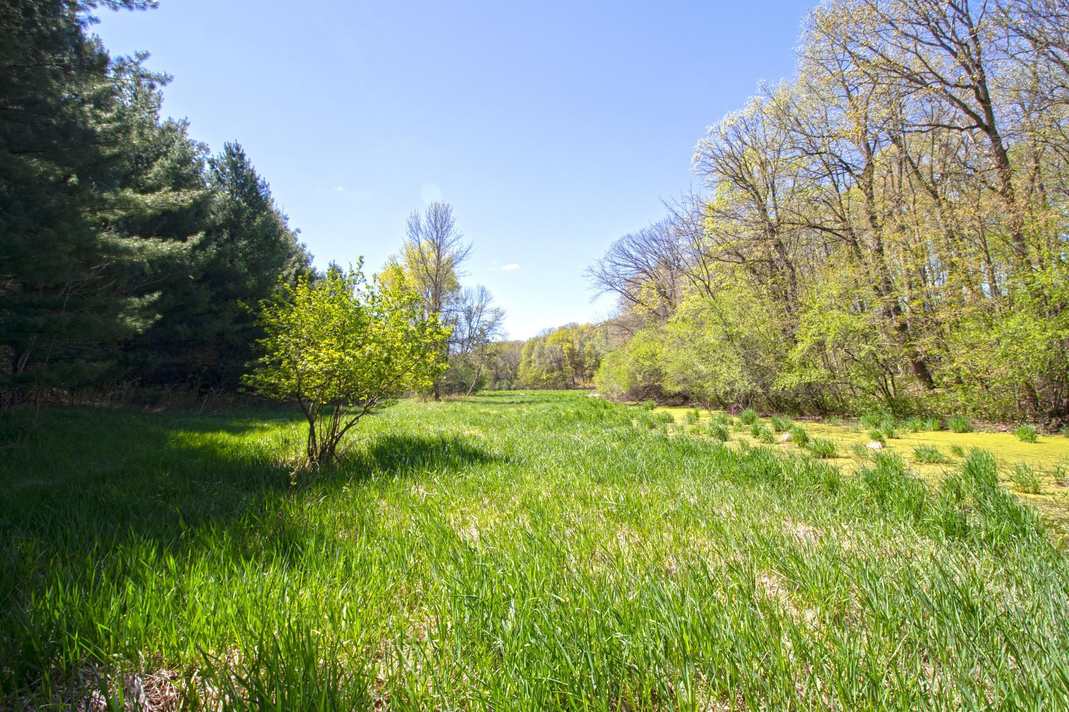 View of Land at TBD Nueman Trail, Lindstrom MN 55045, Lindstrom (6 of 7) - Mike Wilen | Minnesota Team Real Estate