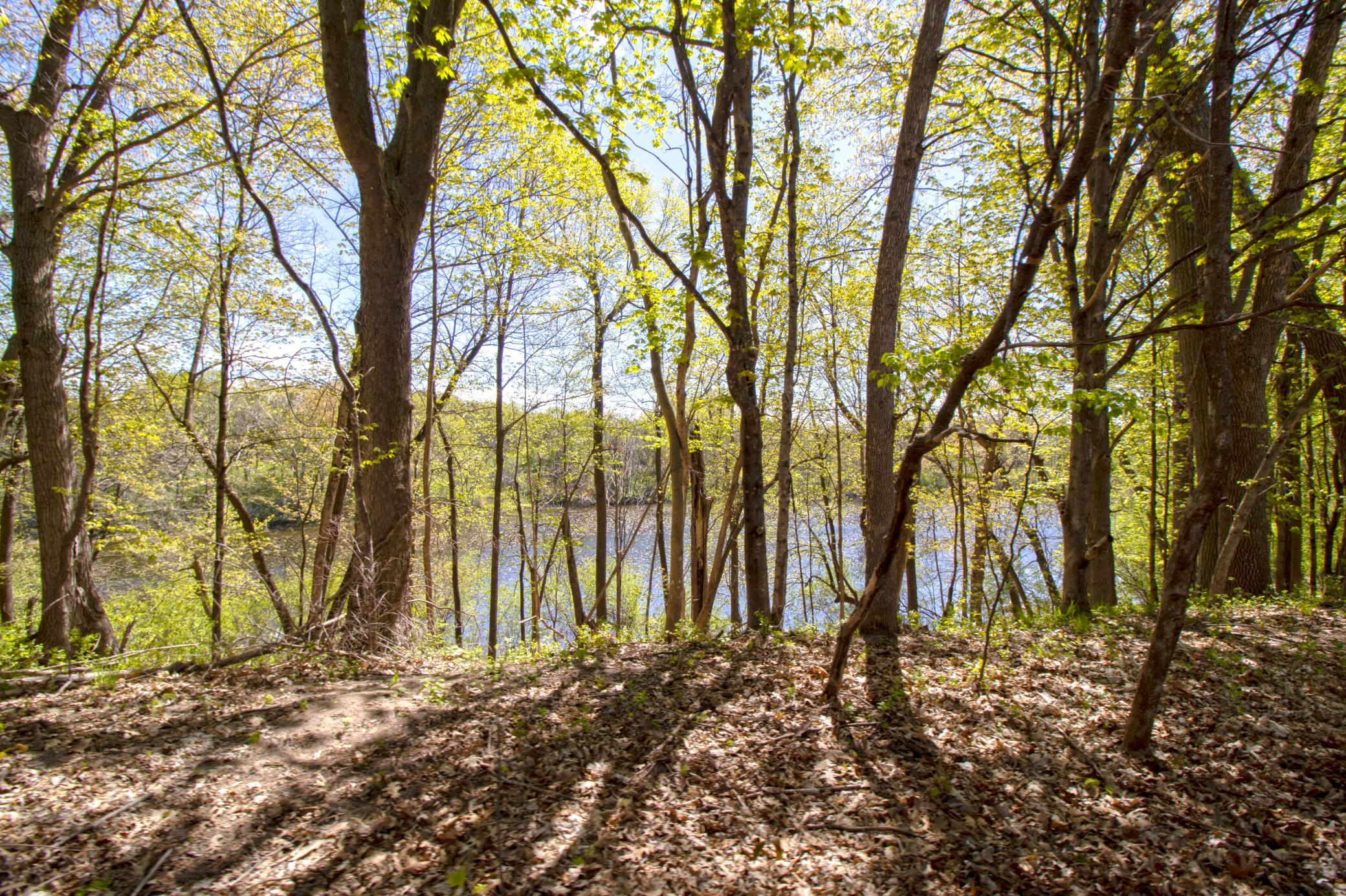 View of Land at TBD Northland Trail, Lindstrom MN 55045, Lindstrom (7 of 7) - Mike Wilen | Minnesota Team Real Estate