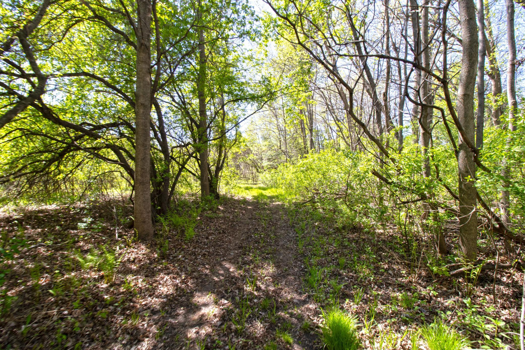 View of Land at TBD Northland Trail, Lindstrom MN 55045, Lindstrom (6 of 7) - Mike Wilen | Minnesota Team Real Estate