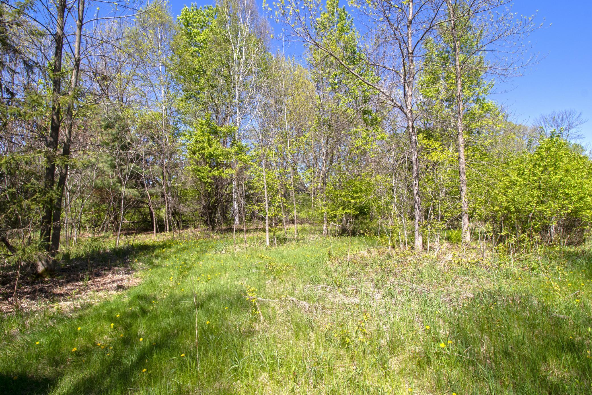 View of Land at TBD Northland Trail, Lindstrom MN 55045, Lindstrom (5 of 7) - Mike Wilen | Minnesota Team Real Estate