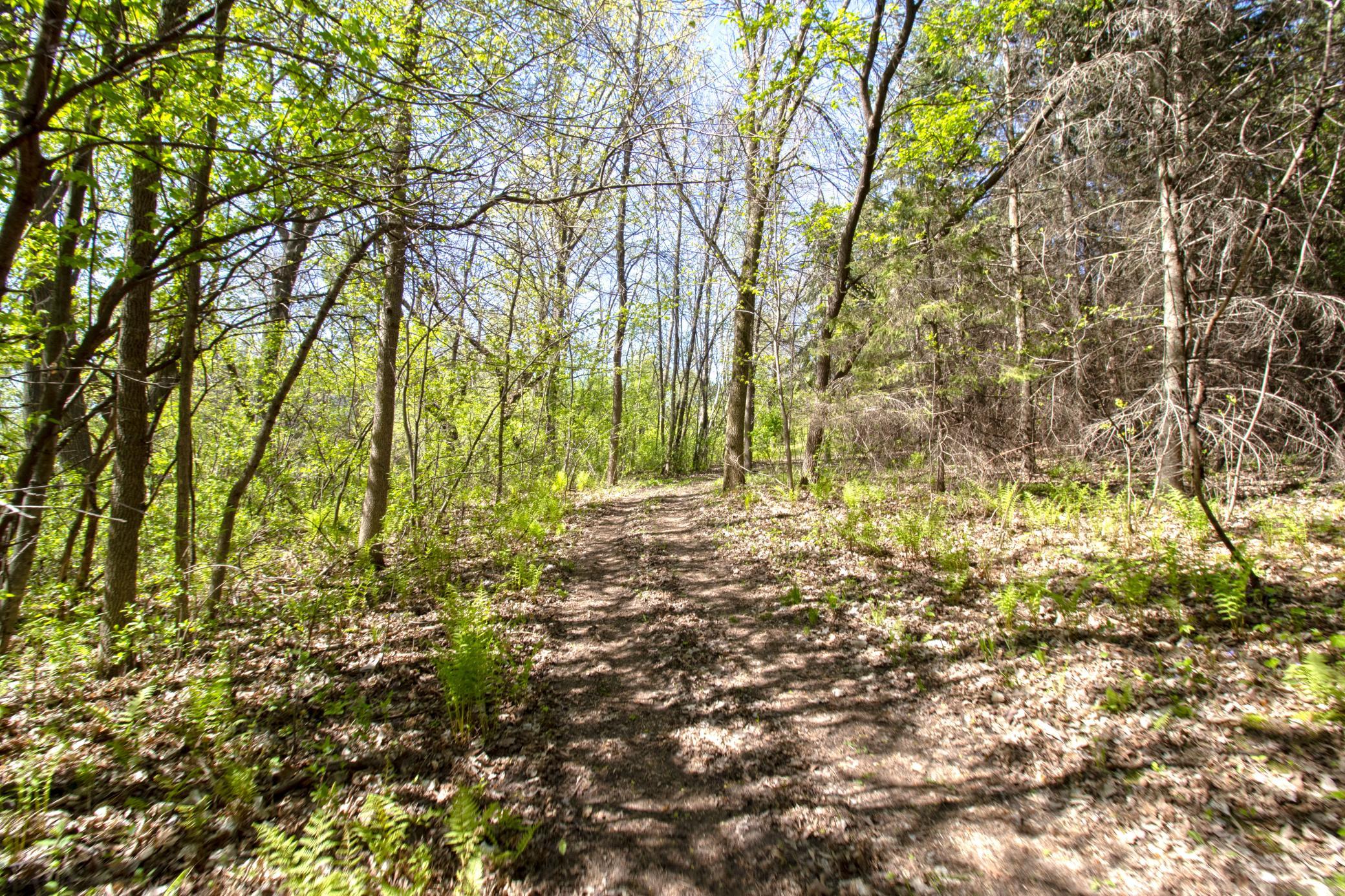 View of Land at TBD Northland Trail, Lindstrom MN 55045, Lindstrom (4 of 7) - Mike Wilen | Minnesota Team Real Estate
