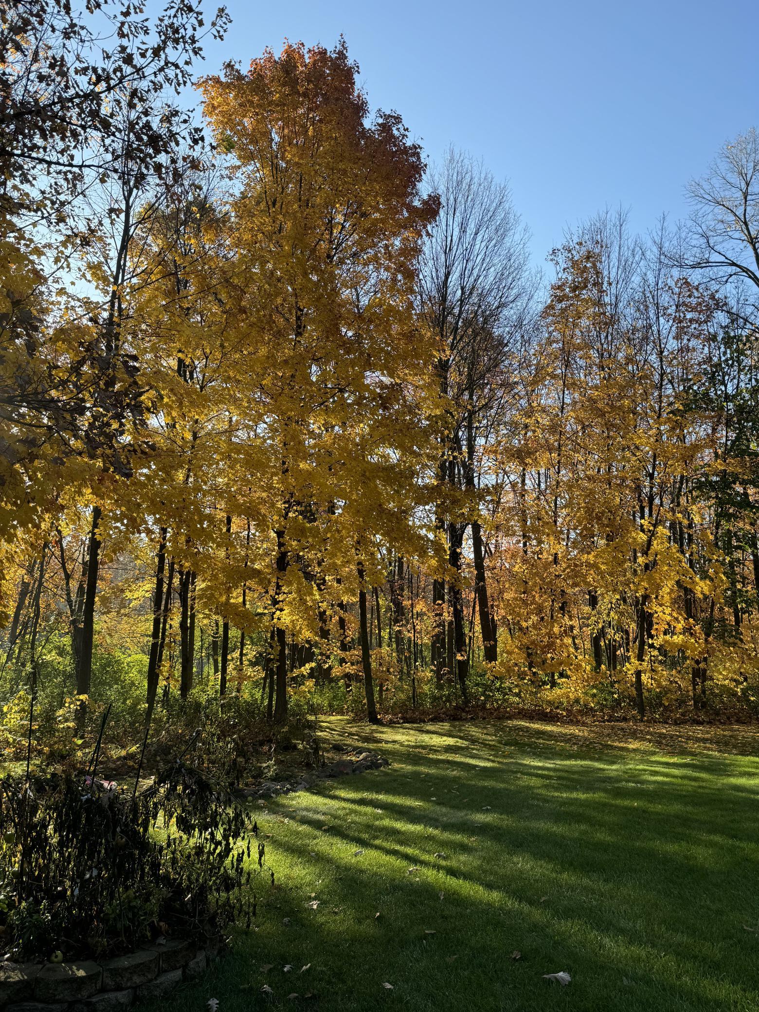 View of Residential at 16705 Par Circle, Pine City MN 55063, Pine City (46 of 53) - Mike Wilen | Minnesota Team Real Estate