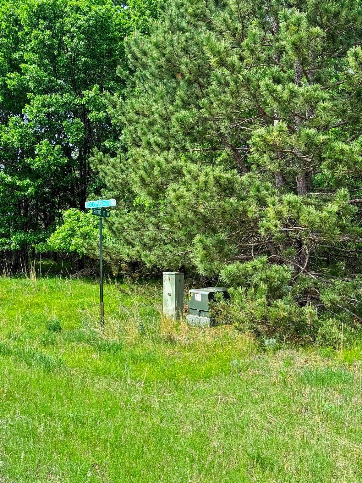 View of Land at 29xxx Crocus Street, Isanti MN 55040, Isanti (9 of 10) - Mike Wilen | Minnesota Team Real Estate