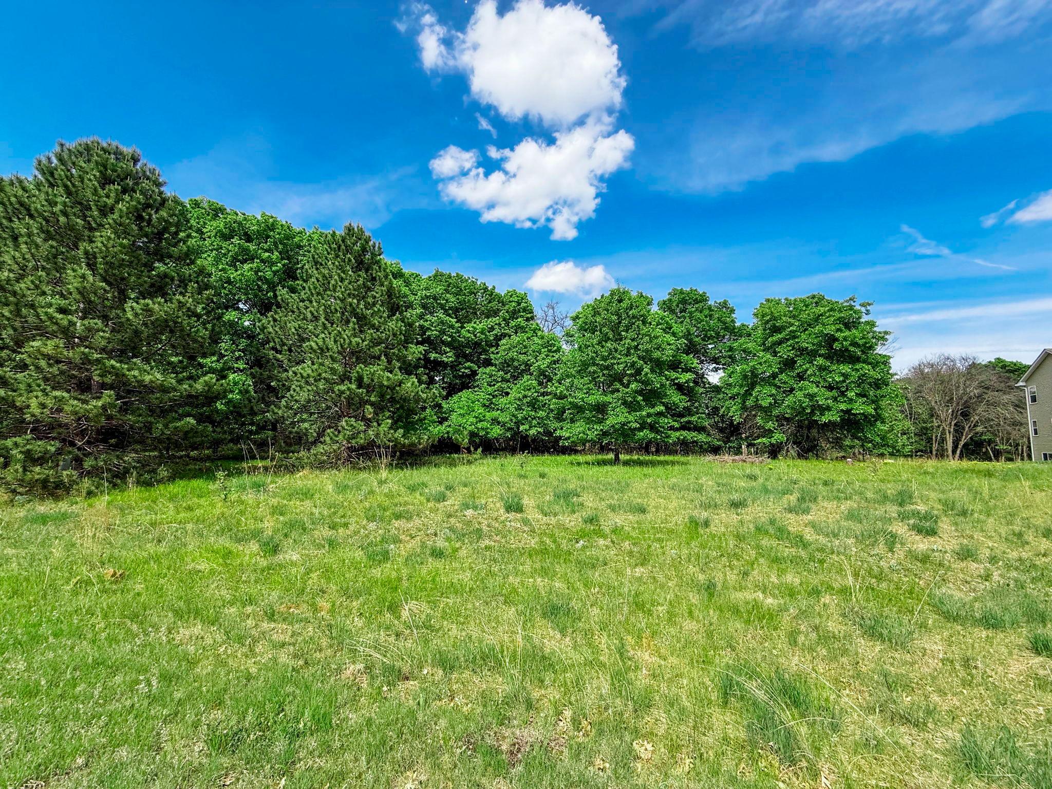 View of Land at 29xxx Crocus Street, Isanti MN 55040, Isanti (8 of 10) - Mike Wilen | Minnesota Team Real Estate