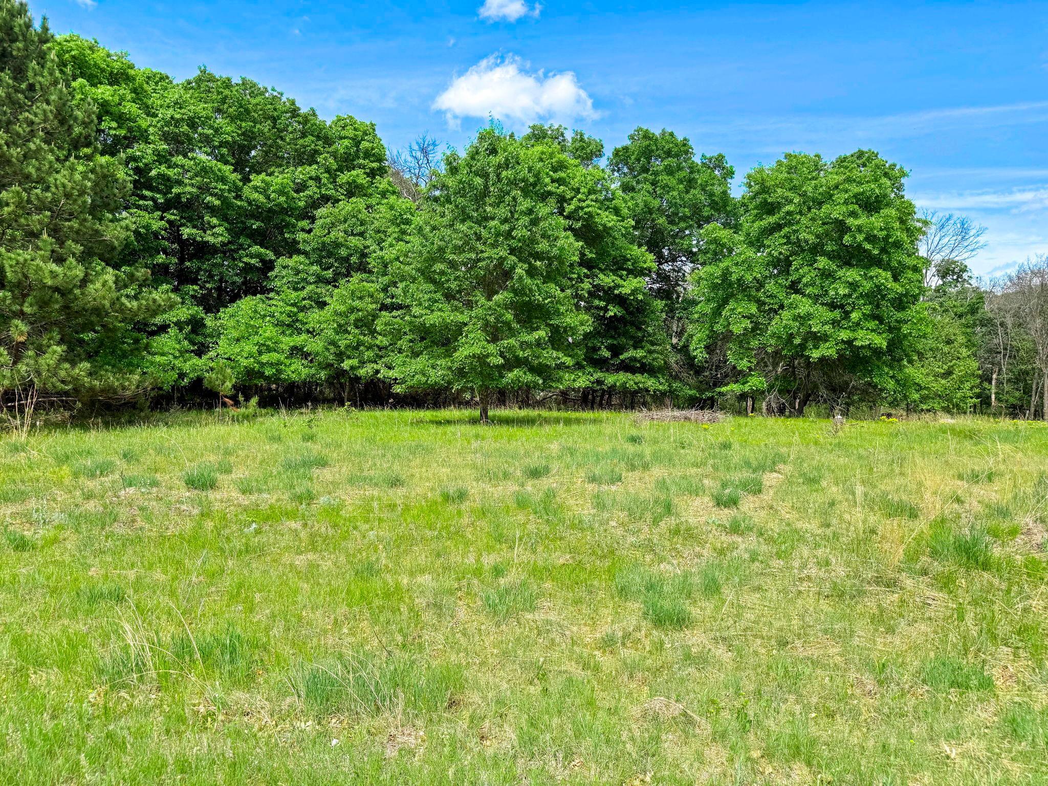 View of Land at 29xxx Crocus Street, Isanti MN 55040, Isanti (6 of 10) - Mike Wilen | Minnesota Team Real Estate