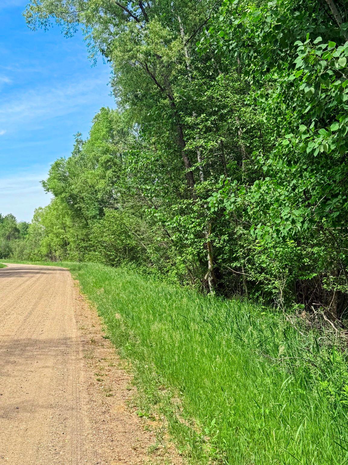 View of Land at 0000 Paradise Trail, Isanti MN 55040, Isanti (8 of 9) - Mike Wilen | Minnesota Team Real Estate