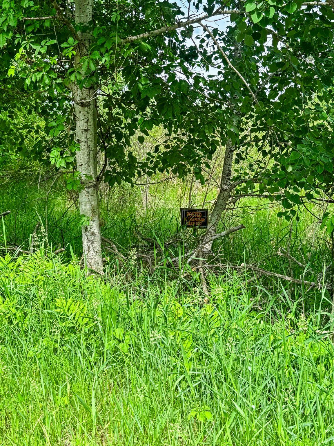 View of Land at 0000 Paradise Trail, Isanti MN 55040, Isanti (7 of 9) - Mike Wilen | Minnesota Team Real Estate