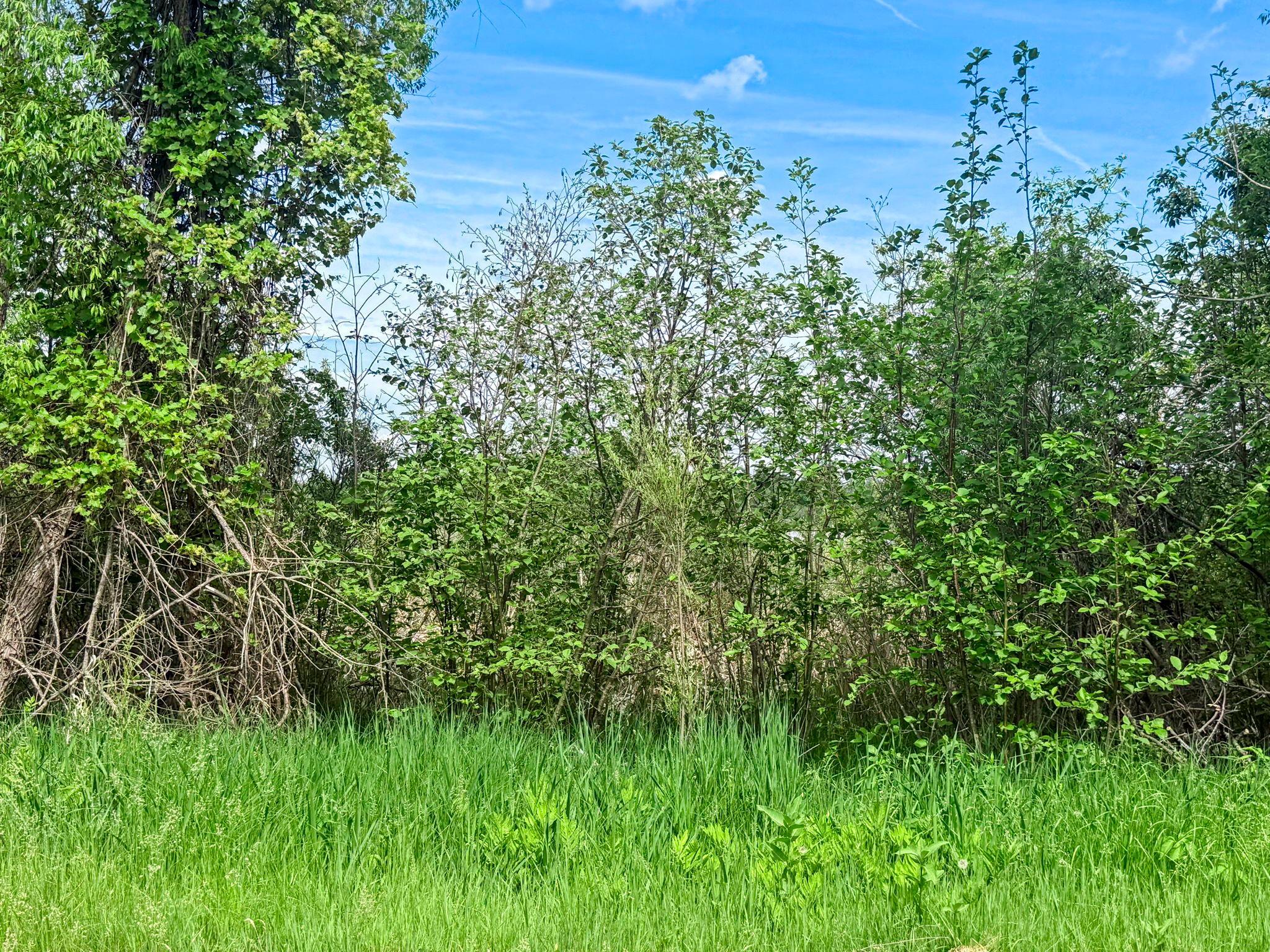 View of Land at 0000 Paradise Trail, Isanti MN 55040, Isanti (6 of 9) - Mike Wilen | Minnesota Team Real Estate