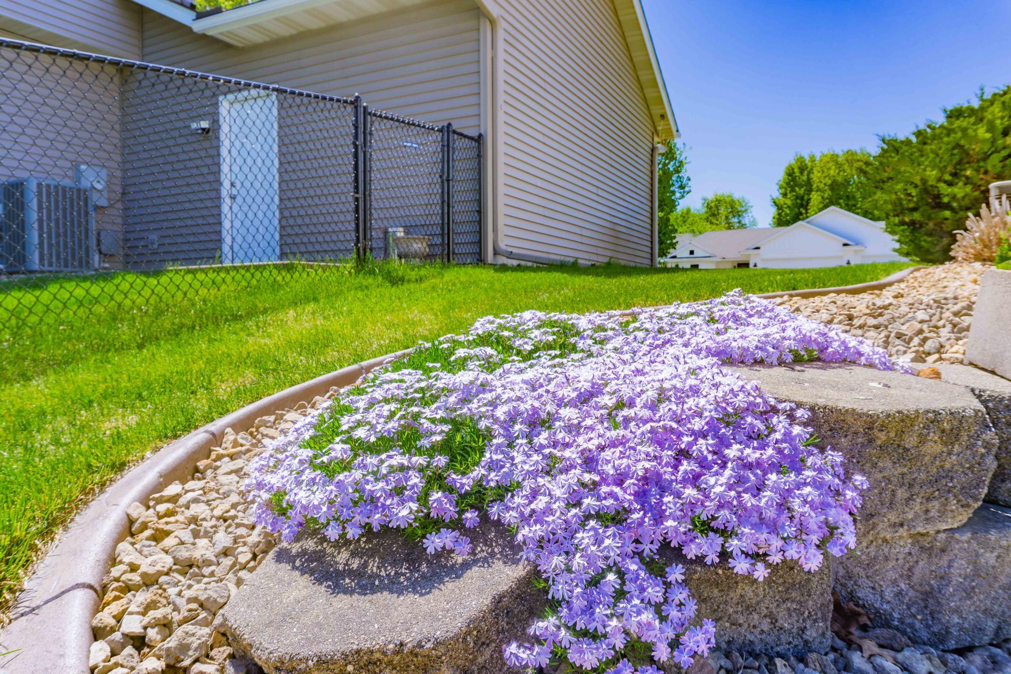 View of Residential at 1874 Tierney Drive, Hastings MN 55033, Hastings (66 of 84) - Mike Wilen | Minnesota Team Real Estate