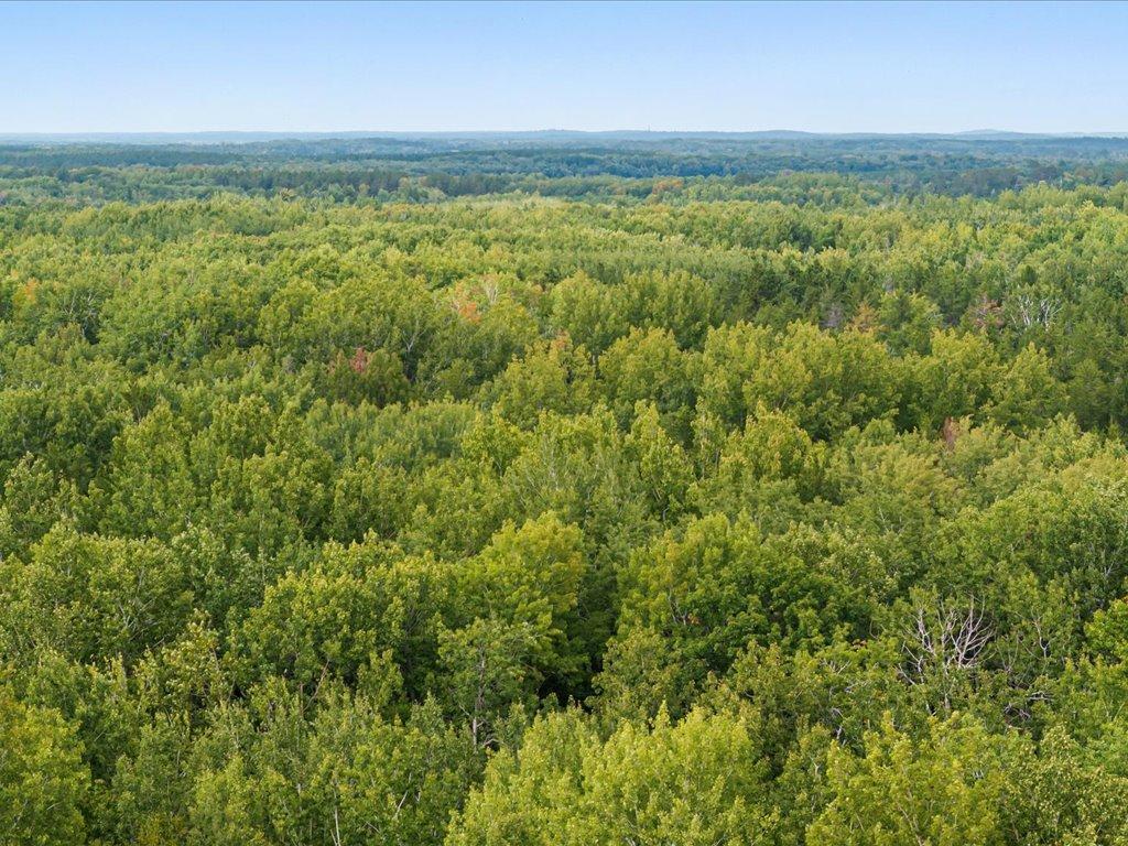 View of Land at Lot H Sandbar Lane, Merrifield MN 56465, Merrifield (4 of 15) - Mike Wilen | Minnesota Team Real Estate