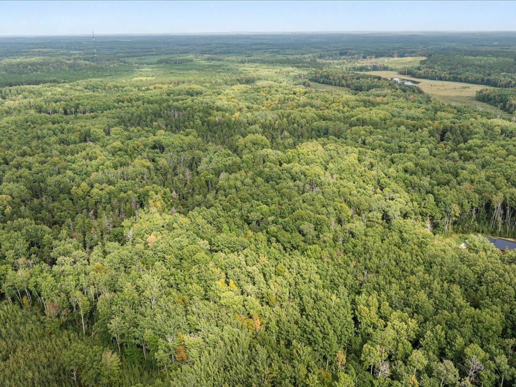 View of Land at Lot H Sandbar Lane, Merrifield MN 56465, Merrifield (7 of 15) - Mike Wilen | Minnesota Team Real Estate