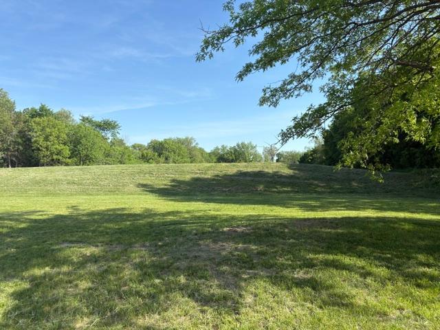 View of Land at 929 Arabian Drive, Jordan MN 55352, Jordan - Mike Wilen | Minnesota Team Real Estate