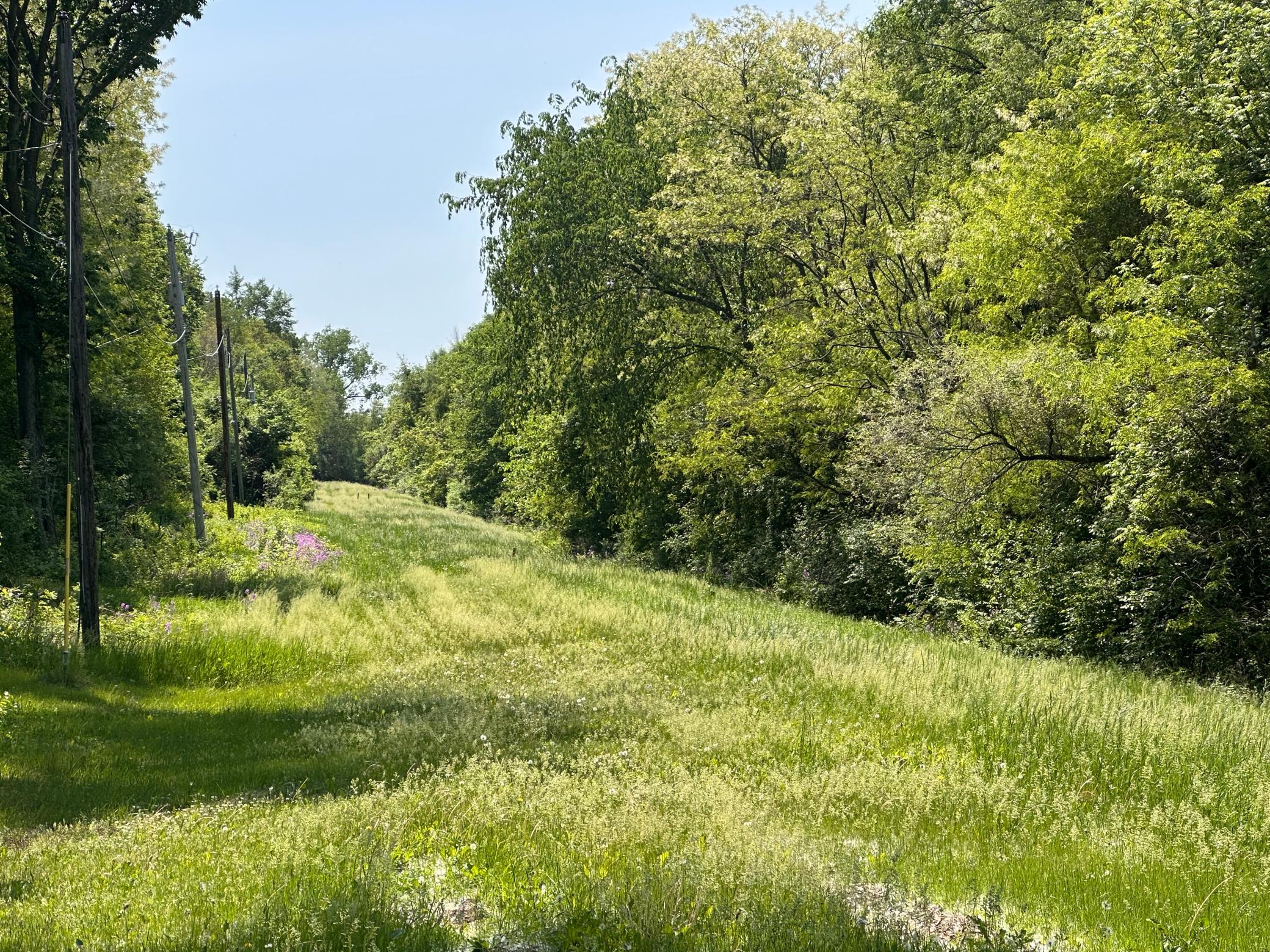 View of Land at TBD Pullman Avenue, Saint Paul Park MN 55071, Saint Paul Park - Mike Wilen | Minnesota Team Real Estate