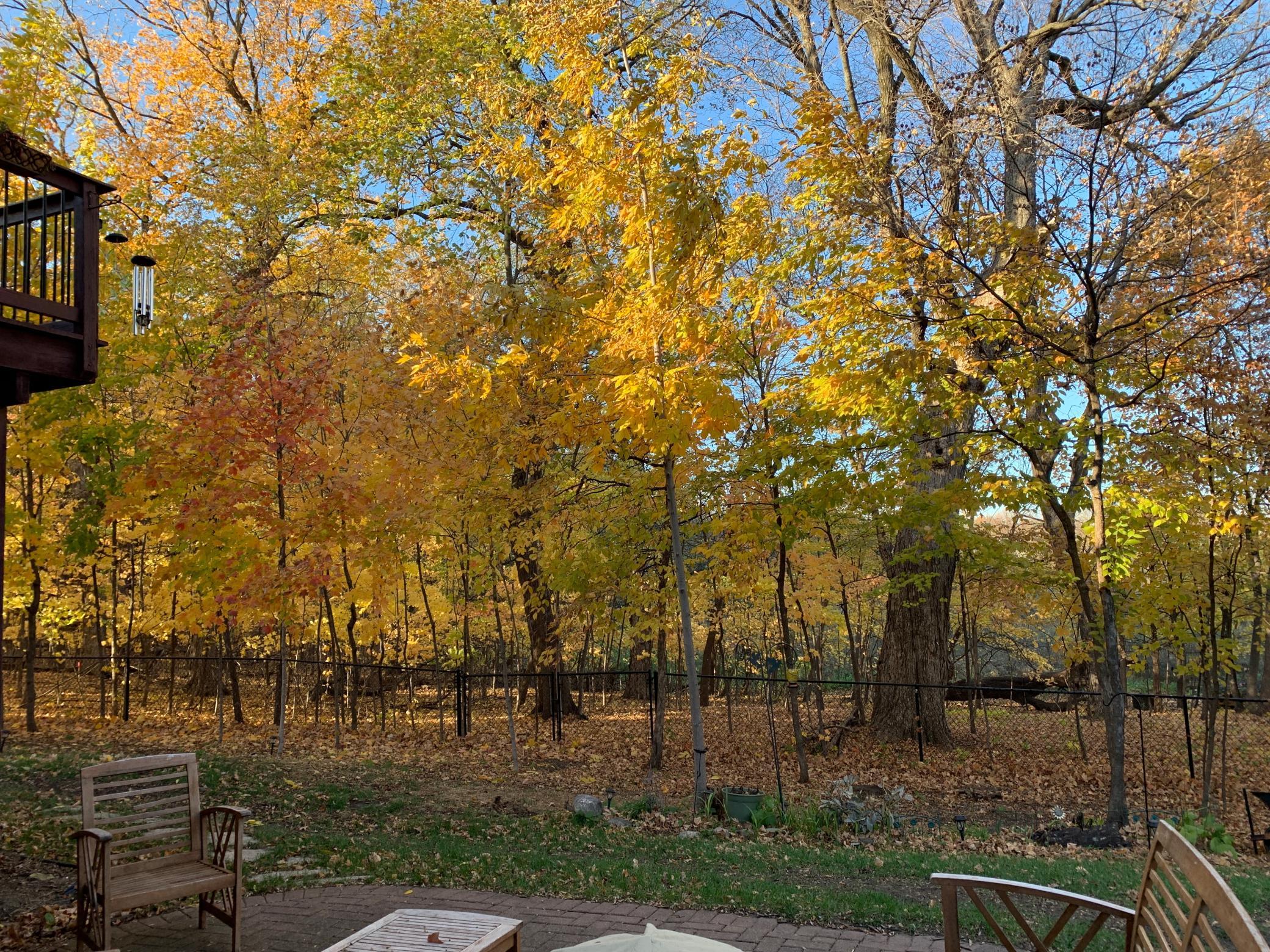View of Residential at 9142 Woodland Drive, Saint Bonifacius MN 55375, Saint Bonifacius (58 of 63) - Mike Wilen | Minnesota Team Real Estate