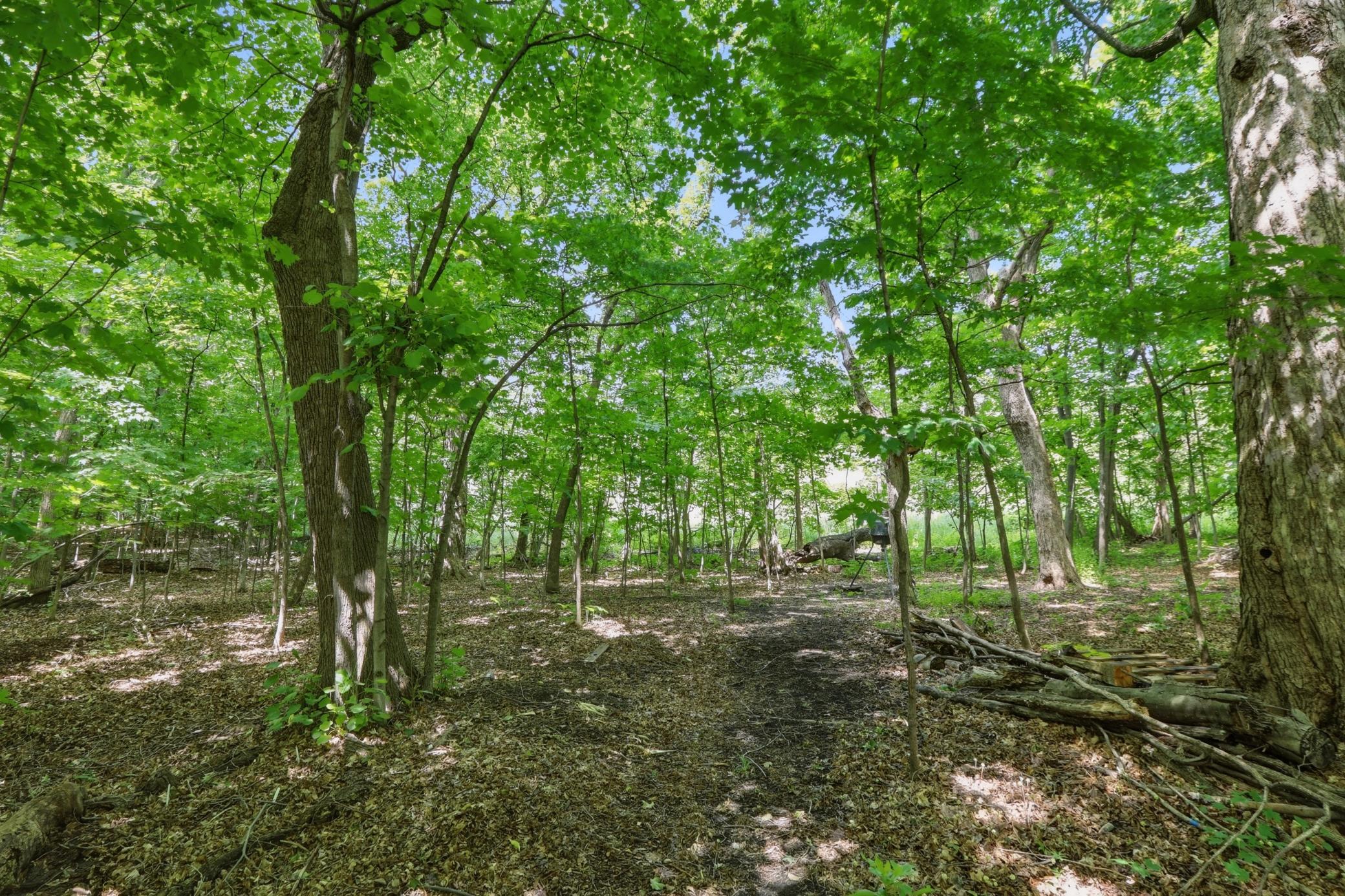 View of Residential at 9142 Woodland Drive, Saint Bonifacius MN 55375, Saint Bonifacius (49 of 63) - Mike Wilen | Minnesota Team Real Estate