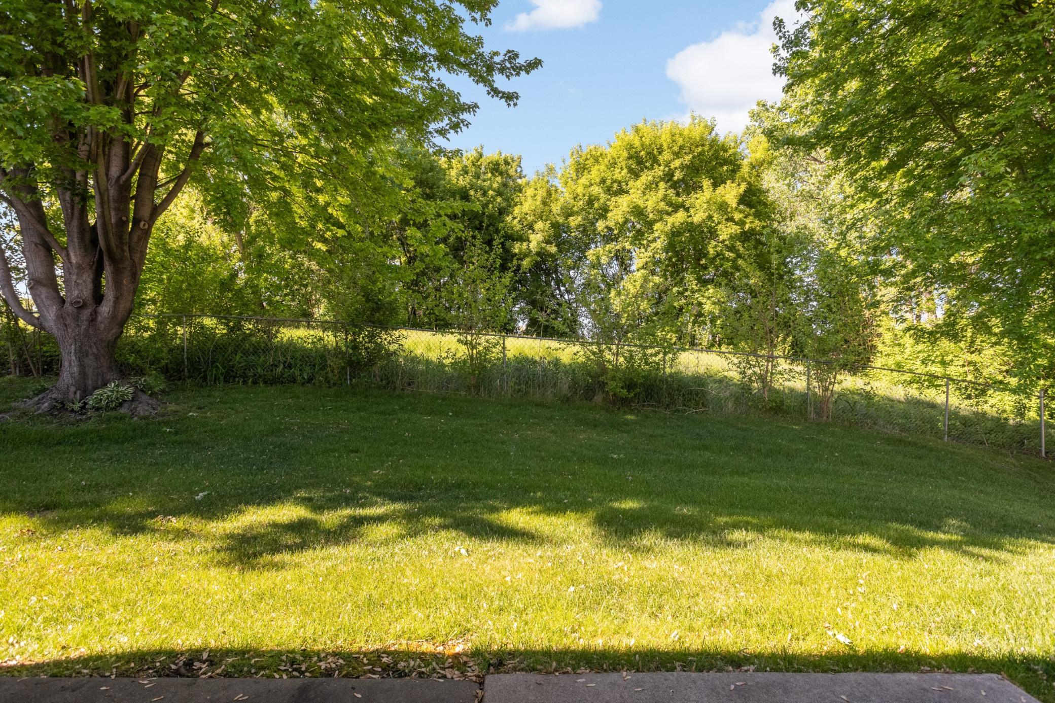 View of Residential at 909 Bahls Drive, Hastings MN 55033, Hastings (18 of 19) - Mike Wilen | Minnesota Team Real Estate