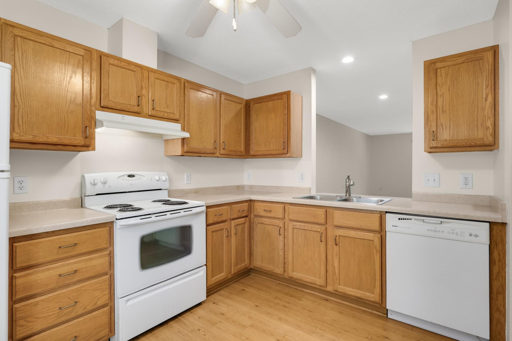 View of Residential at 909 Bahls Drive, Hastings MN 55033, Hastings (4 of 19) - Mike Wilen | Minnesota Team Real Estate
