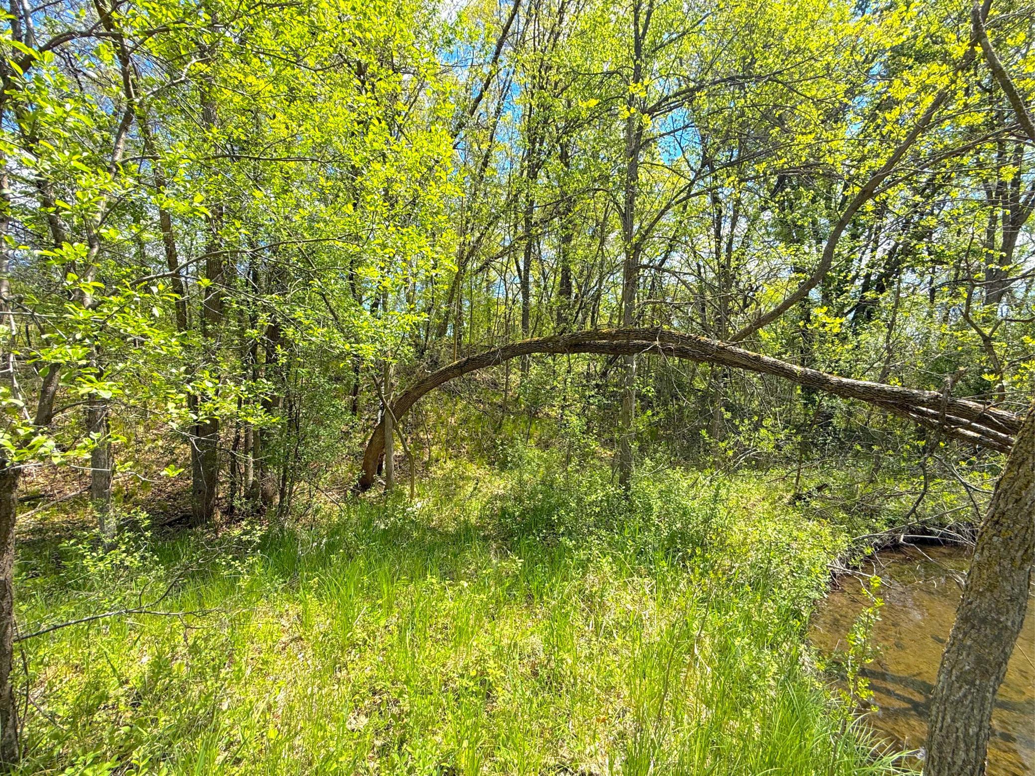 View of Land at 212XX Franklin Road, Clearwater MN 55320, Clearwater (21 of 22) - Mike Wilen | Minnesota Team Real Estate