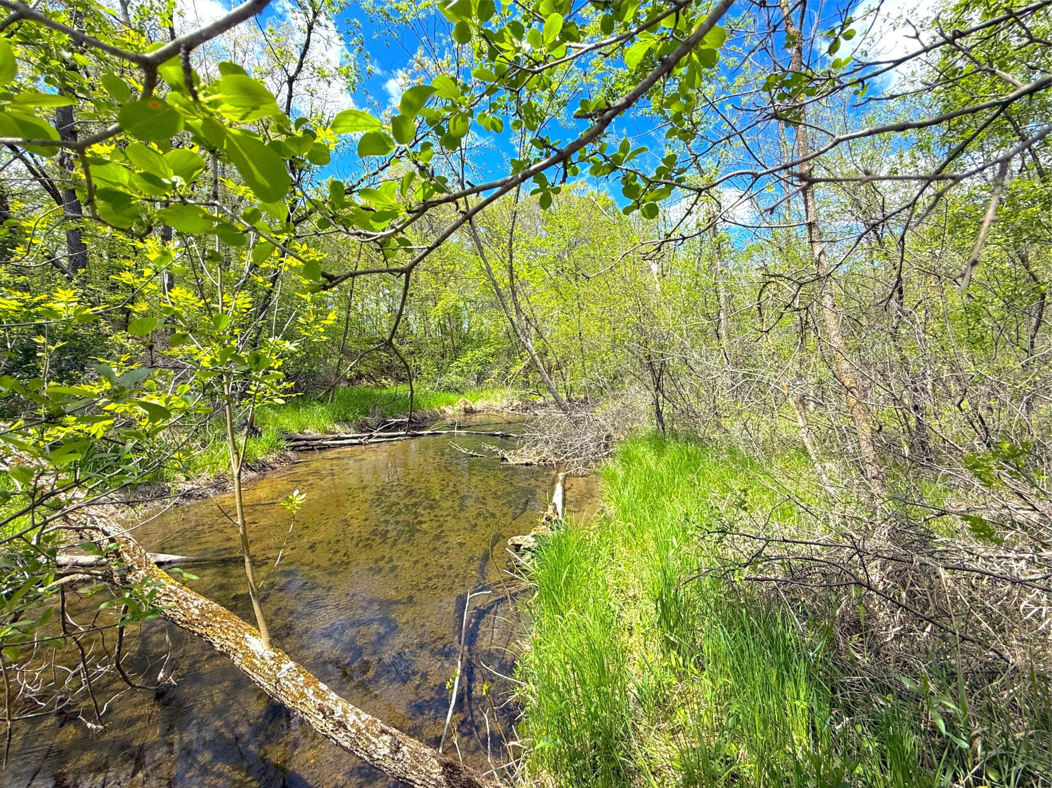 View of Land at 212XX Franklin Road, Clearwater MN 55320, Clearwater (9 of 22) - Mike Wilen | Minnesota Team Real Estate