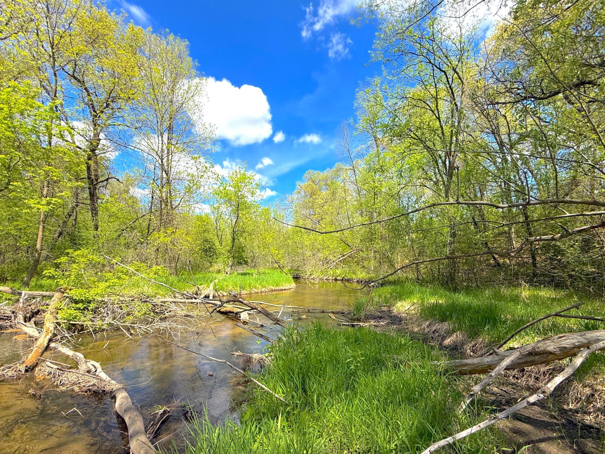 View of Land at 212XX Franklin Road, Clearwater MN 55320, Clearwater (20 of 22) - Mike Wilen | Minnesota Team Real Estate