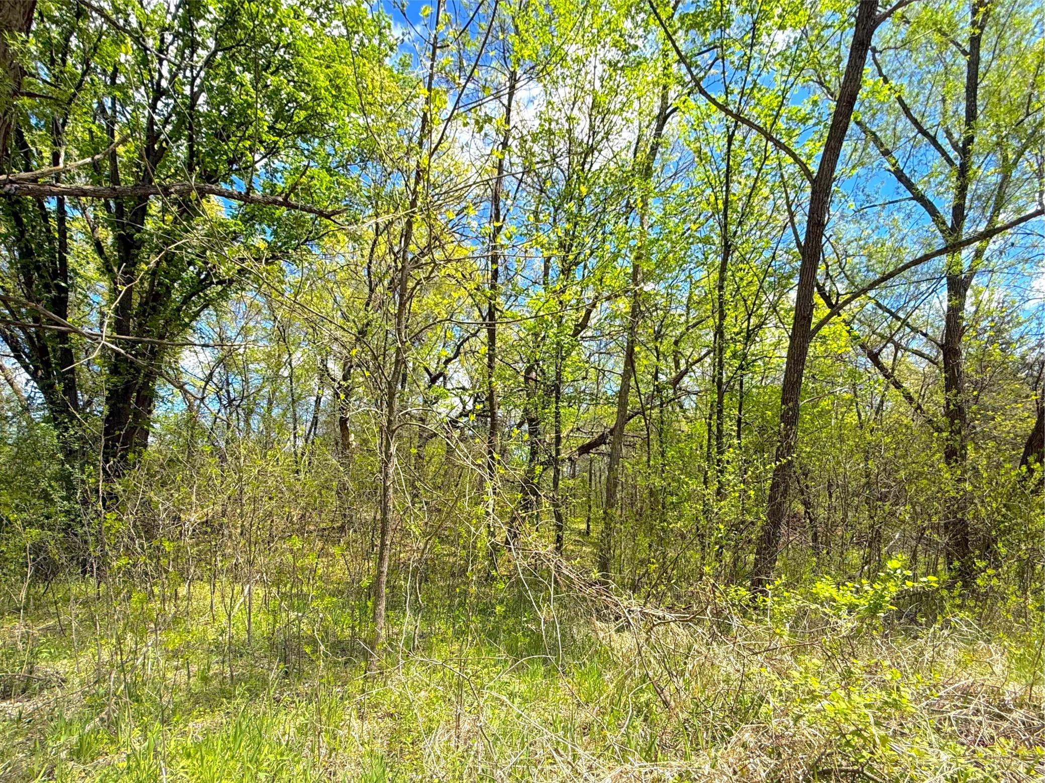 View of Land at 212XX Franklin Road, Clearwater MN 55320, Clearwater (15 of 22) - Mike Wilen | Minnesota Team Real Estate