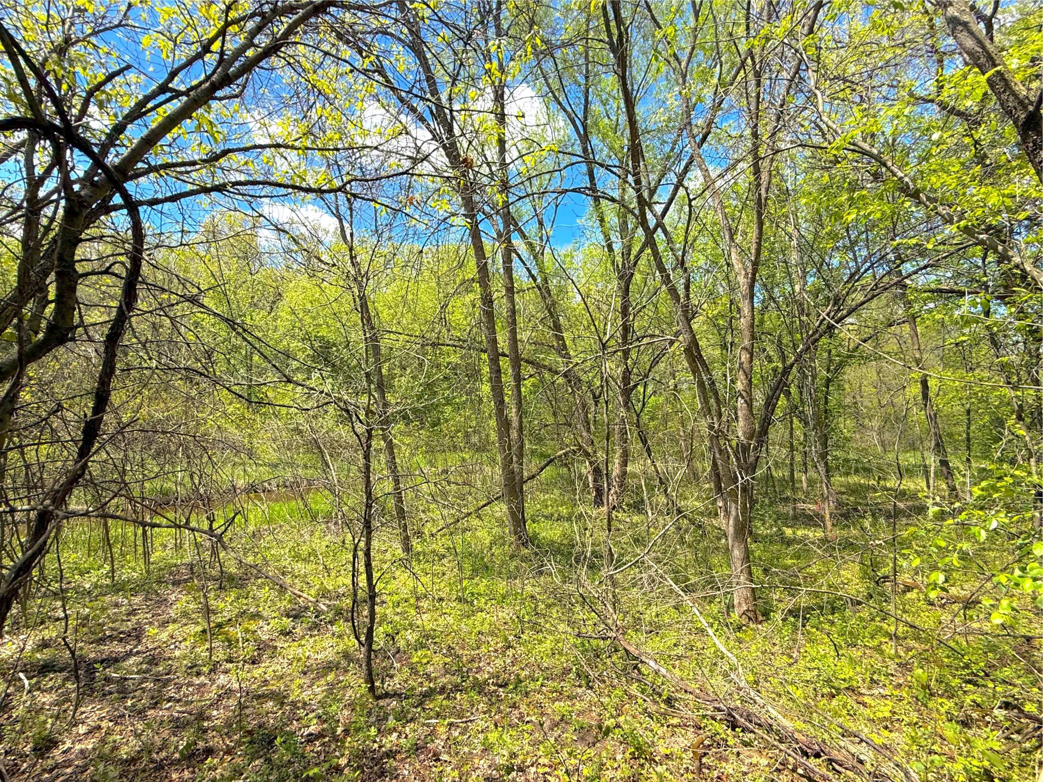 View of Land at 212XX Franklin Road, Clearwater MN 55320, Clearwater (10 of 22) - Mike Wilen | Minnesota Team Real Estate
