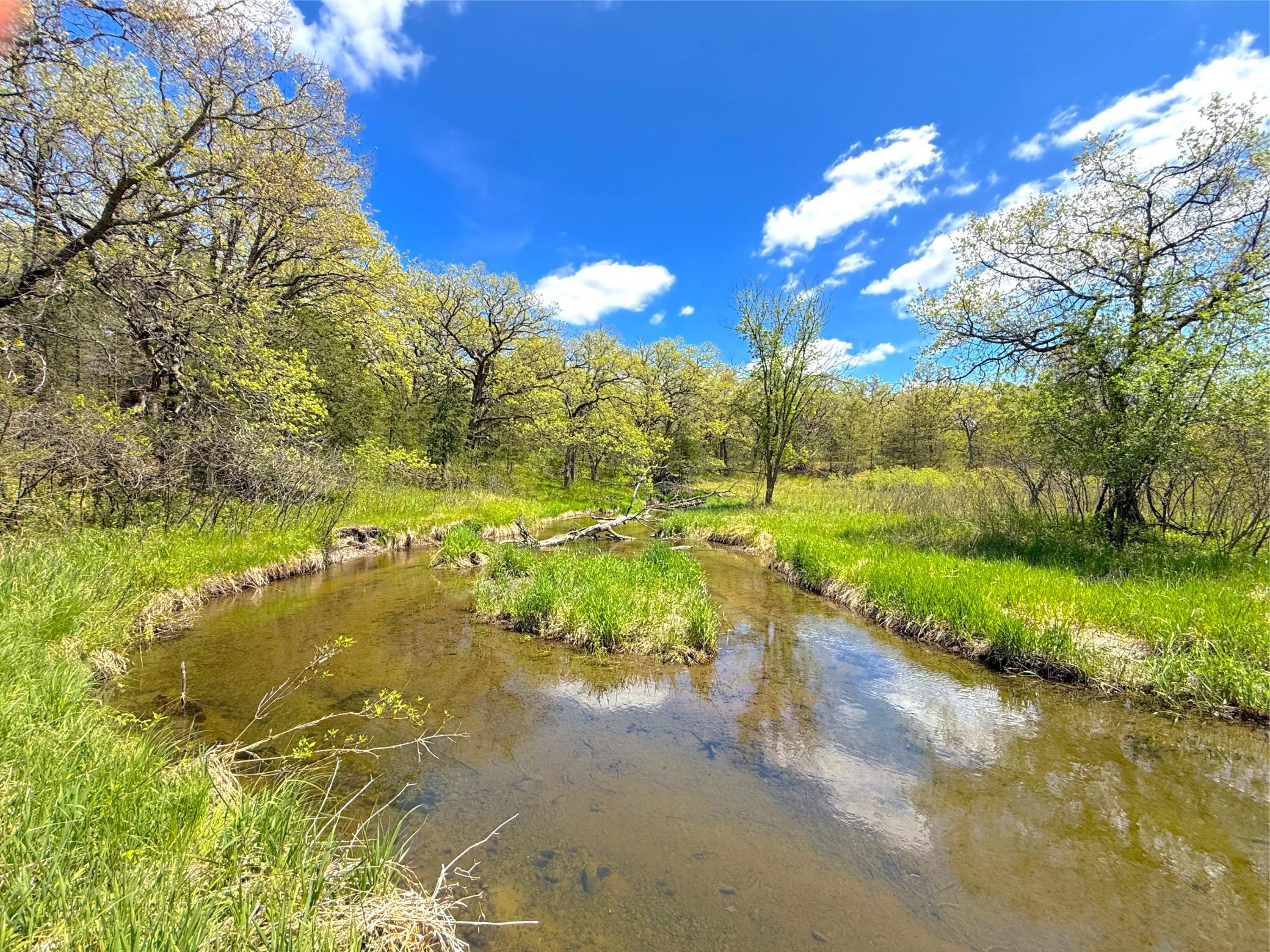 View of Land at 212XX Franklin Road, Clearwater MN 55320, Clearwater (7 of 22) - Mike Wilen | Minnesota Team Real Estate