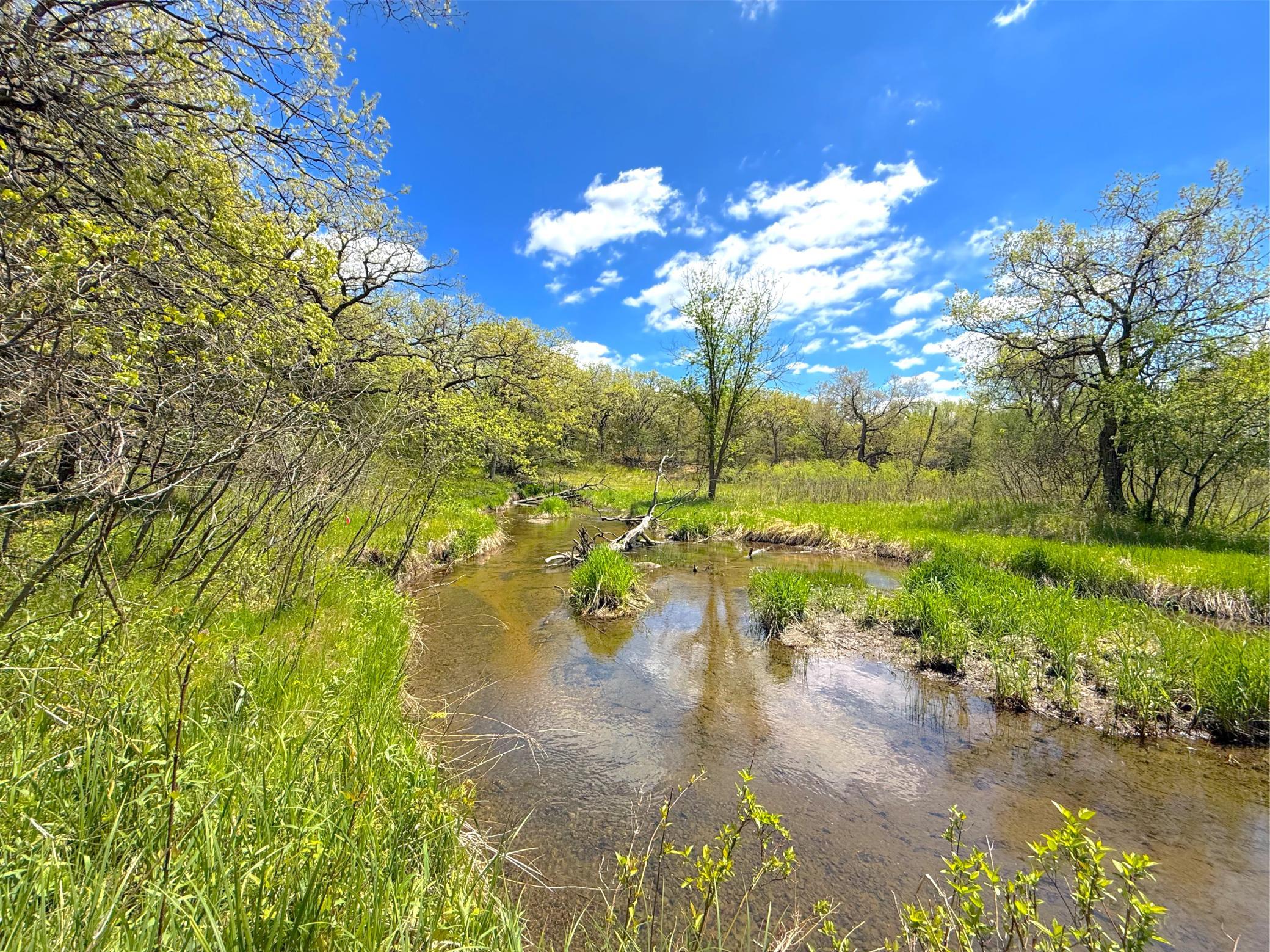 View of Land at 212XX Franklin Road, Clearwater MN 55320, Clearwater (19 of 22) - Mike Wilen | Minnesota Team Real Estate