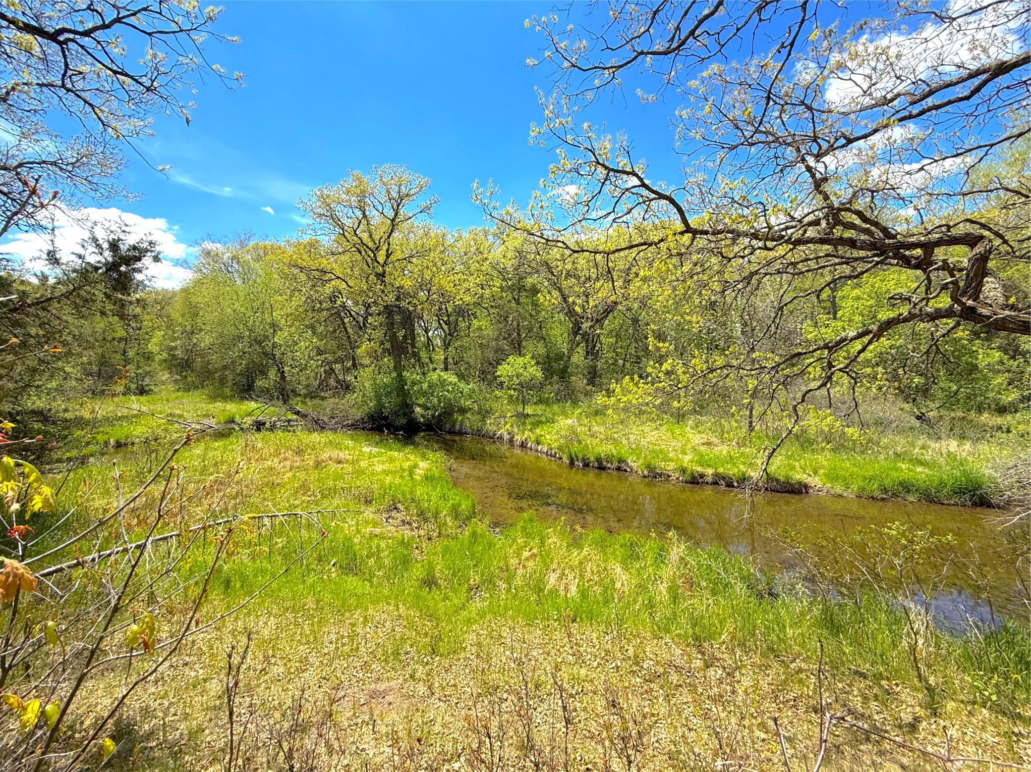 View of Land at 212XX Franklin Road, Clearwater MN 55320, Clearwater (17 of 22) - Mike Wilen | Minnesota Team Real Estate