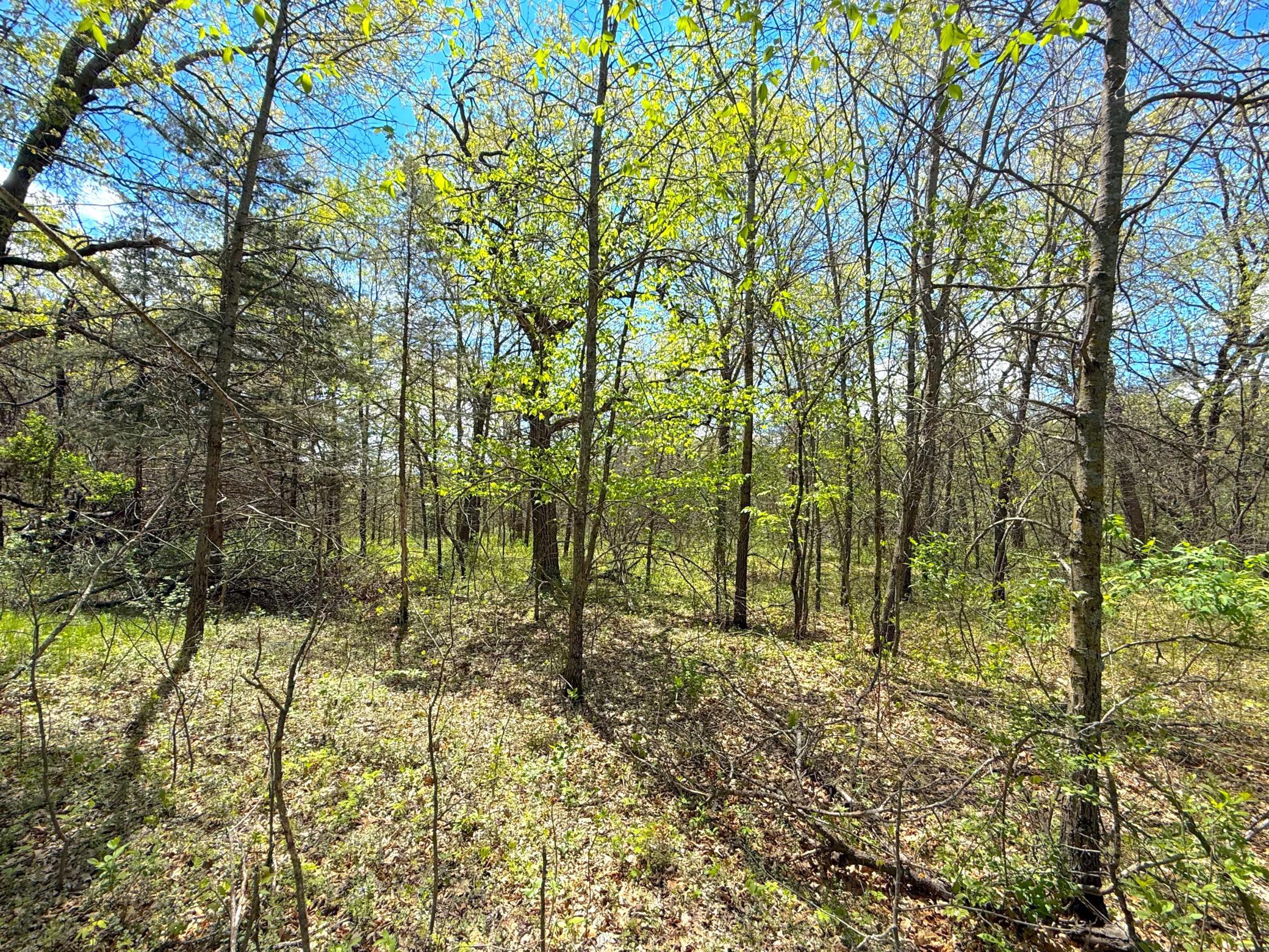 View of Land at 212XX Franklin Road, Clearwater MN 55320, Clearwater (4 of 22) - Mike Wilen | Minnesota Team Real Estate