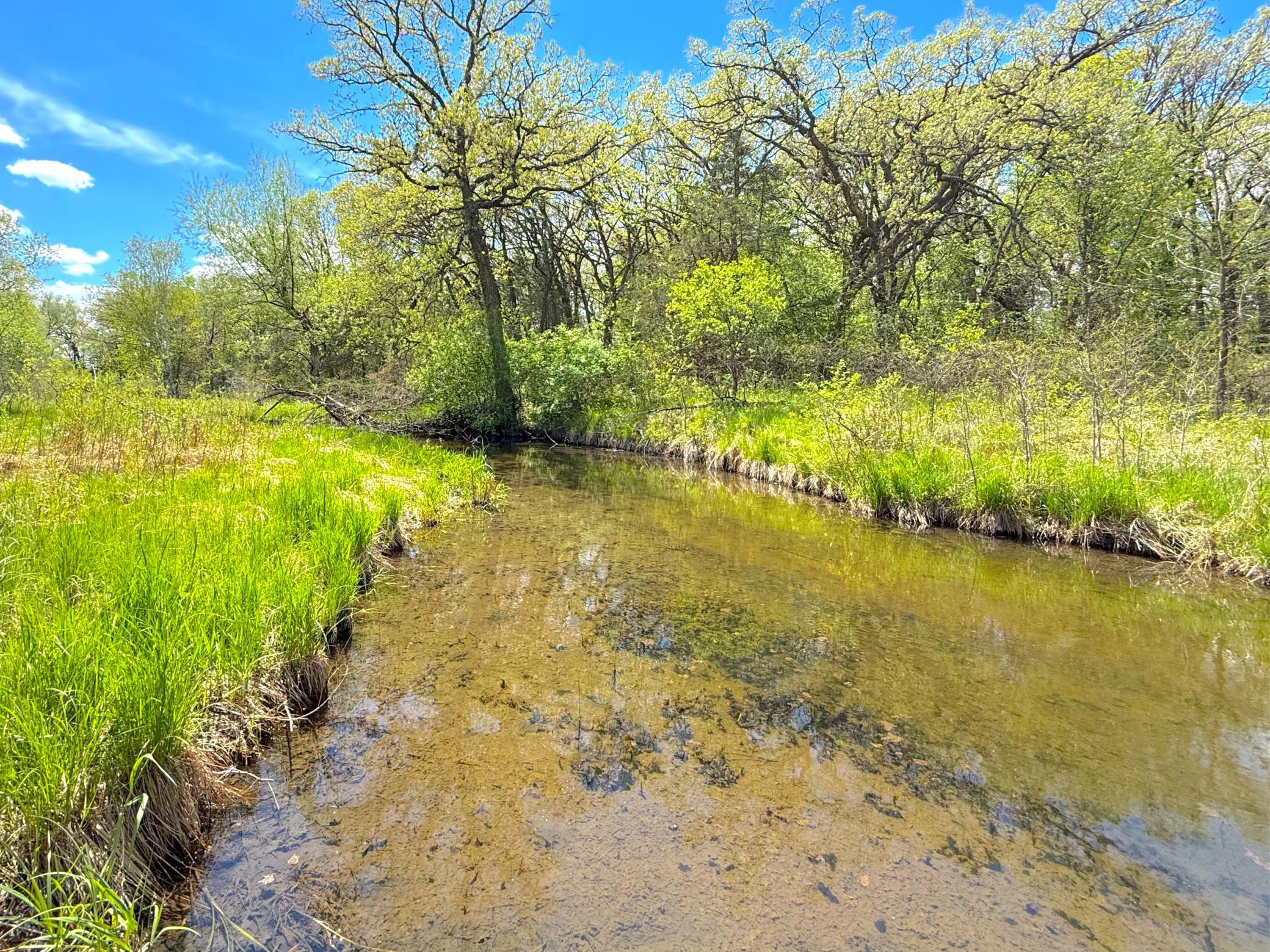 View of Land at 212XX Franklin Road, Clearwater MN 55320, Clearwater (18 of 22) - Mike Wilen | Minnesota Team Real Estate