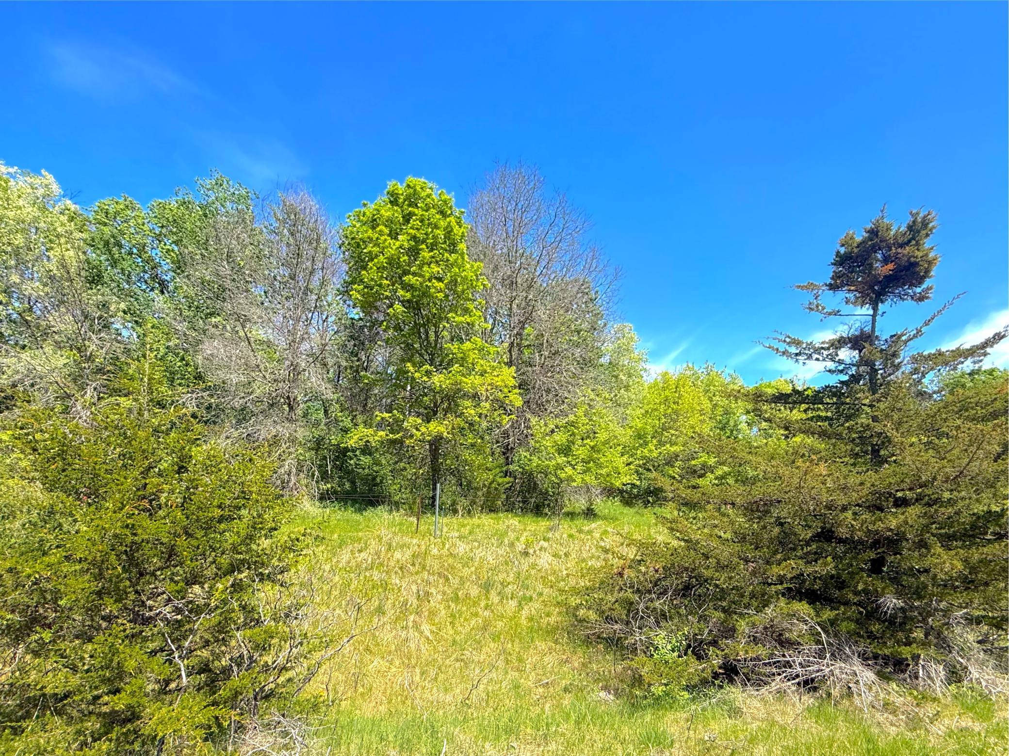 View of Land at 210XX County Road 75, Clearwater MN 55320, Clearwater (10 of 16) - Mike Wilen | Minnesota Team Real Estate