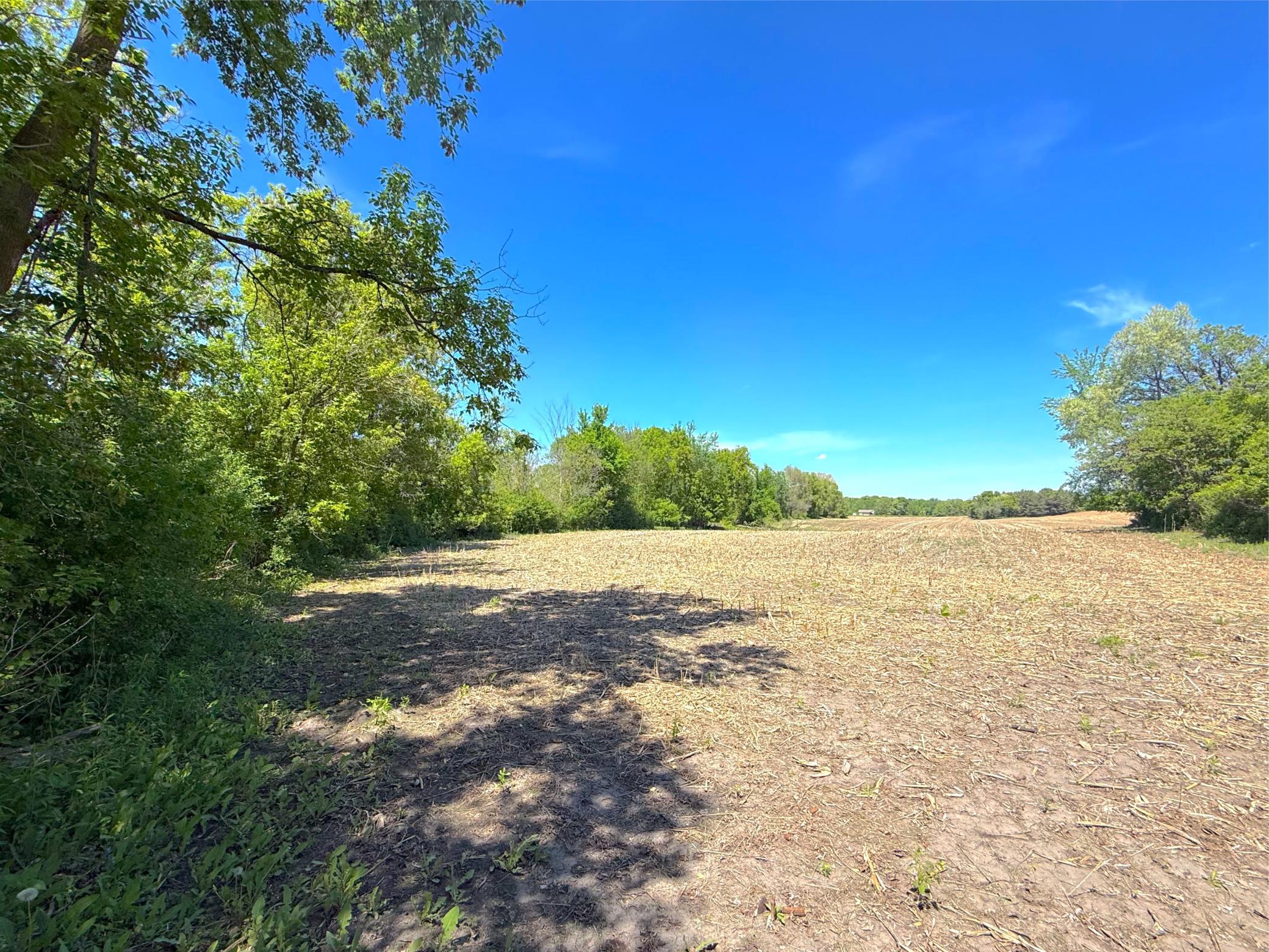View of Land at 210XX County Road 75, Clearwater MN 55320, Clearwater (4 of 16) - Mike Wilen | Minnesota Team Real Estate
