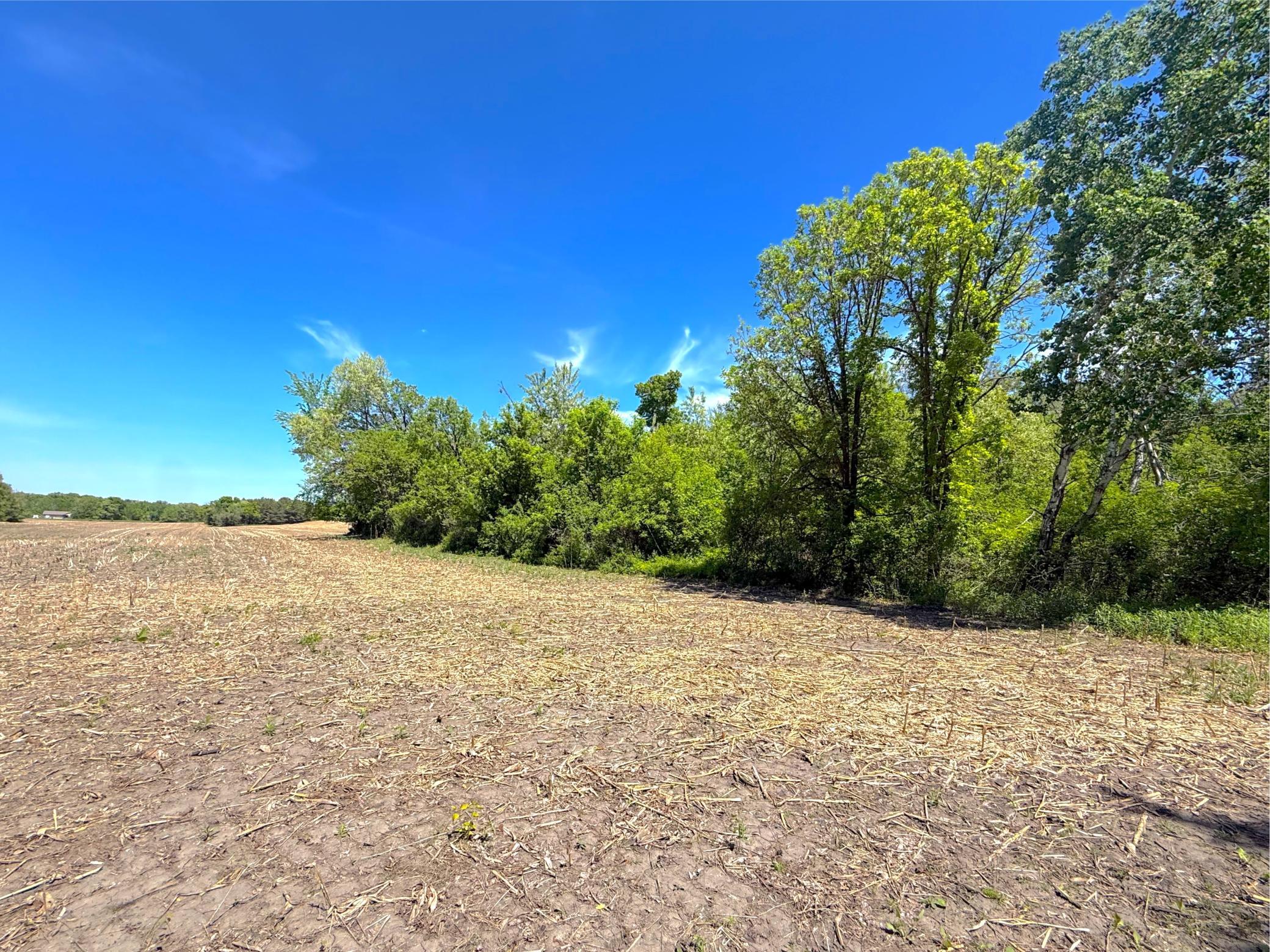 View of Land at 210XX County Road 75, Clearwater MN 55320, Clearwater (12 of 16) - Mike Wilen | Minnesota Team Real Estate