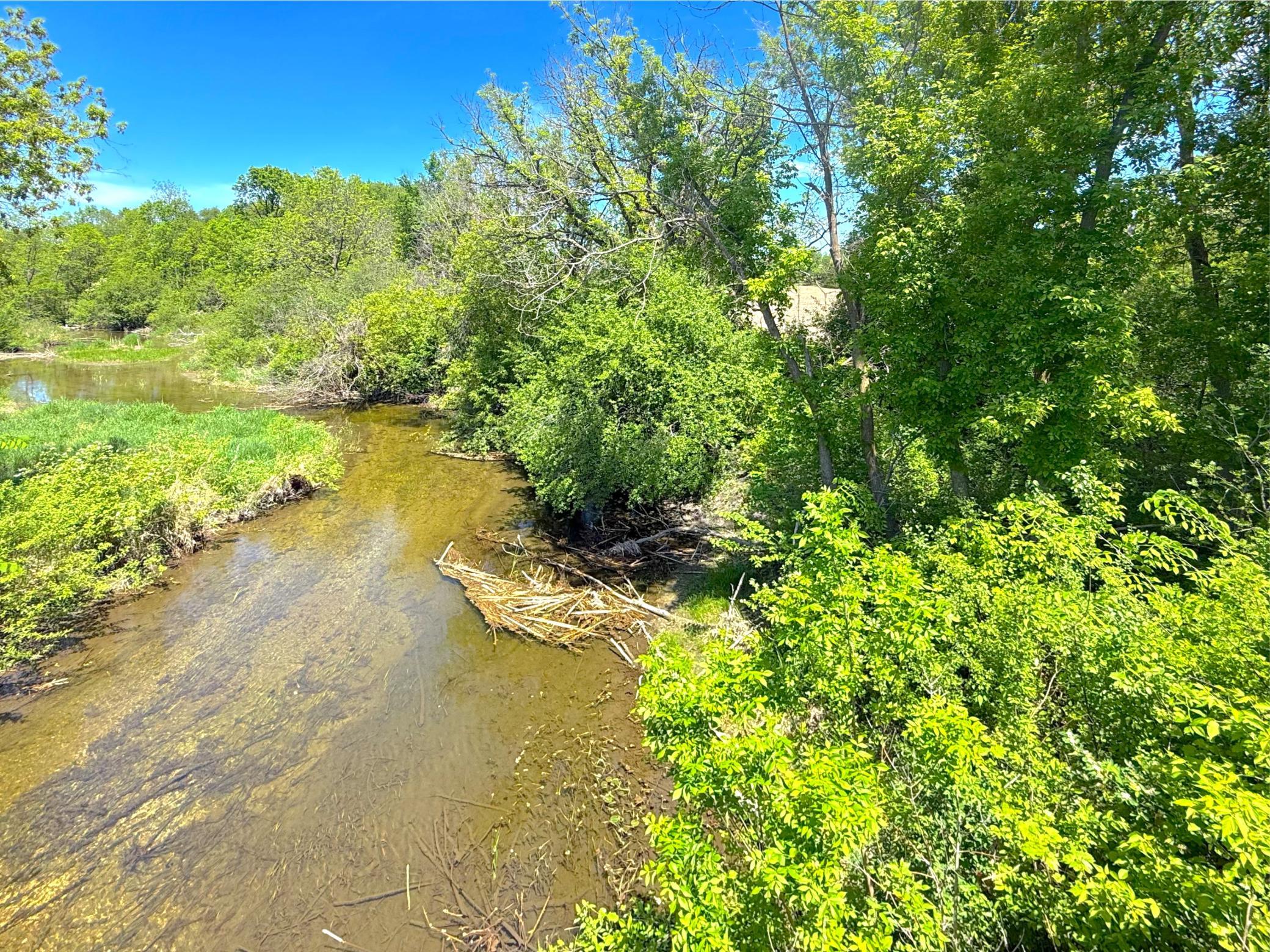 View of Land at 210XX County Road 75, Clearwater MN 55320, Clearwater (11 of 16) - Mike Wilen | Minnesota Team Real Estate