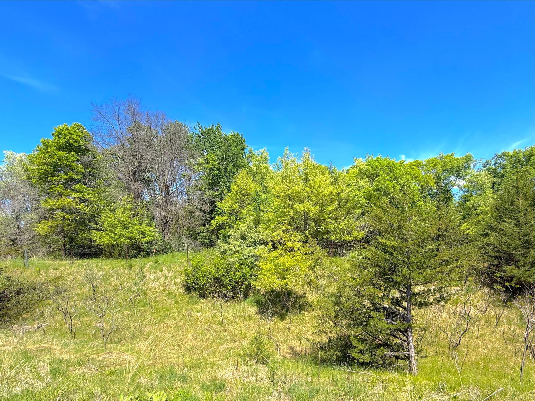 View of Land at 210XX County Road 75, Clearwater MN 55320, Clearwater (3 of 16) - Mike Wilen | Minnesota Team Real Estate