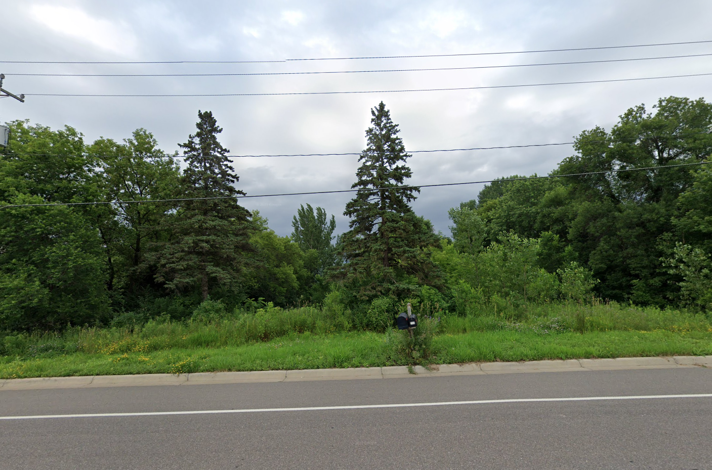 View of Land at 705 Hamel Road, Medina MN 55340, Medina (3 of 3) - Mike Wilen | Minnesota Team Real Estate