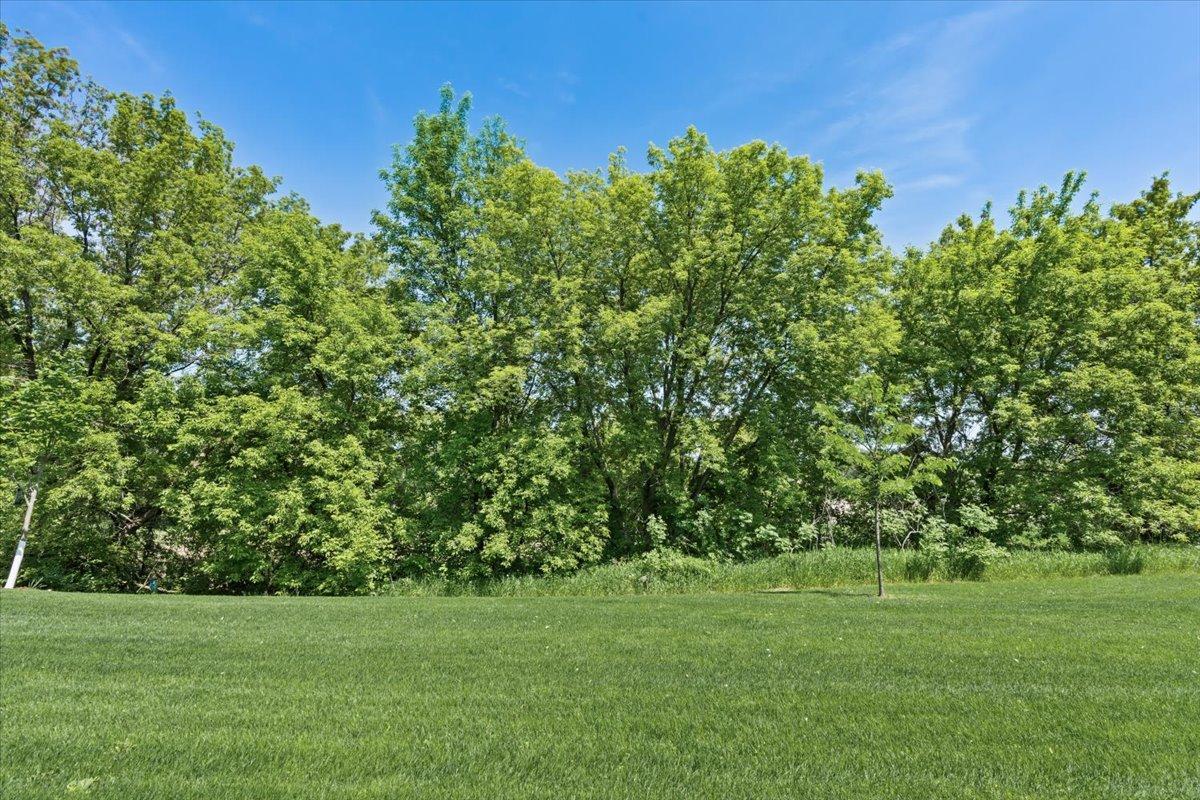 View of Residential at 19142 Grass Lake Trail, Rogers MN 55374, Rogers (41 of 41) - Mike Wilen | Minnesota Team Real Estate