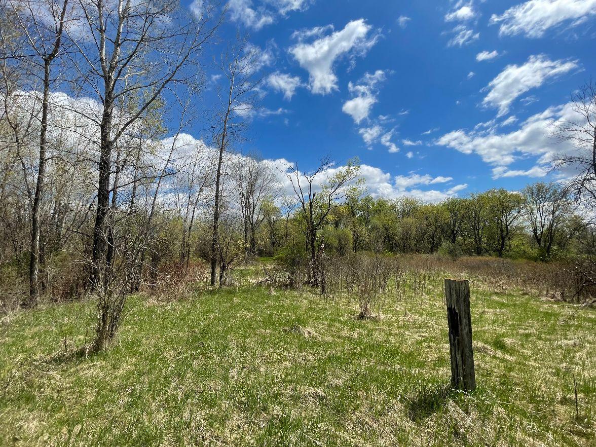 View of Land at TBD 170th Street, Hugo MN 55038, Hugo (6 of 29) - Mike Wilen | Minnesota Team Real Estate