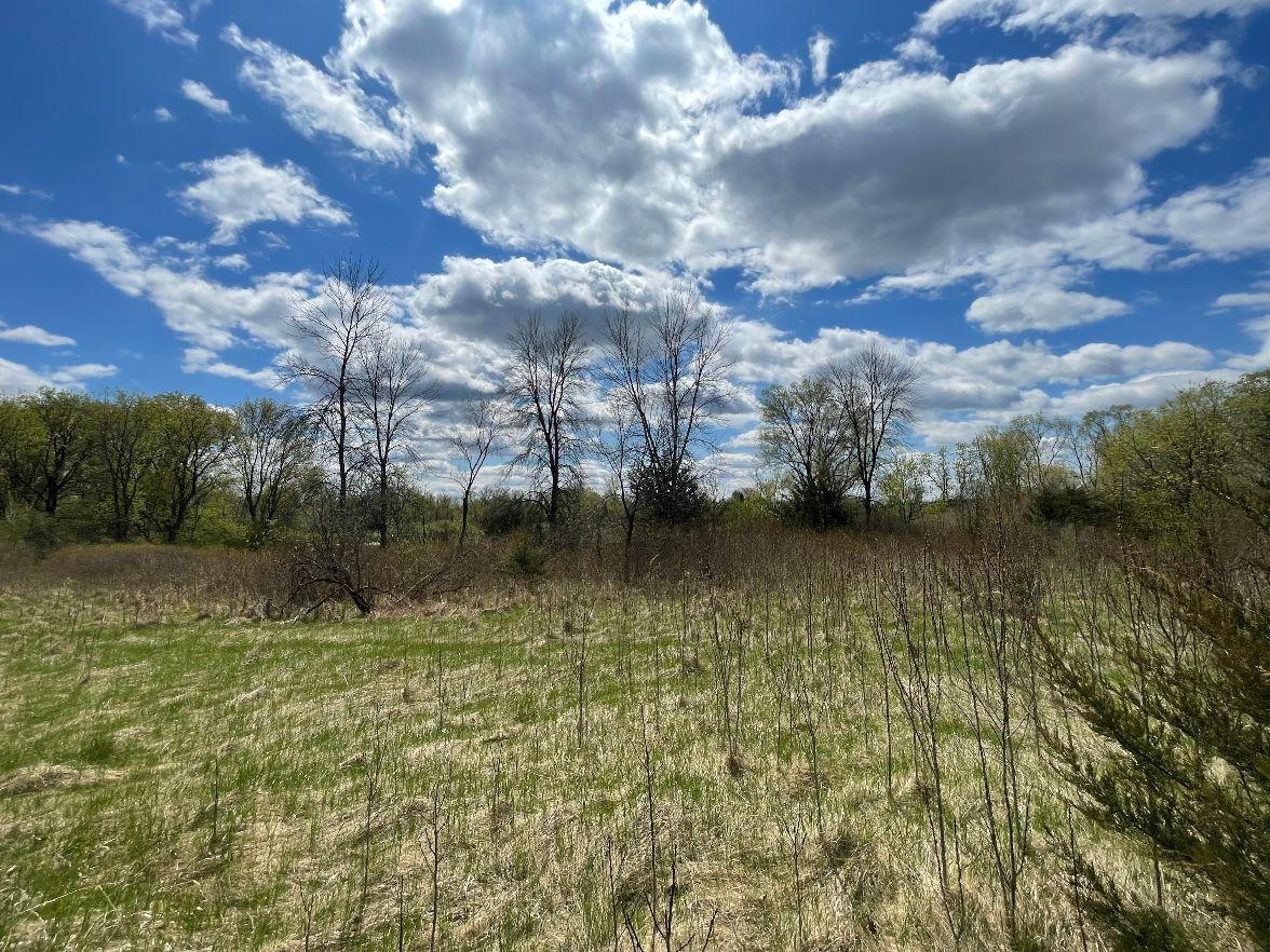View of Land at TBD 170th Street, Hugo MN 55038, Hugo (4 of 29) - Mike Wilen | Minnesota Team Real Estate